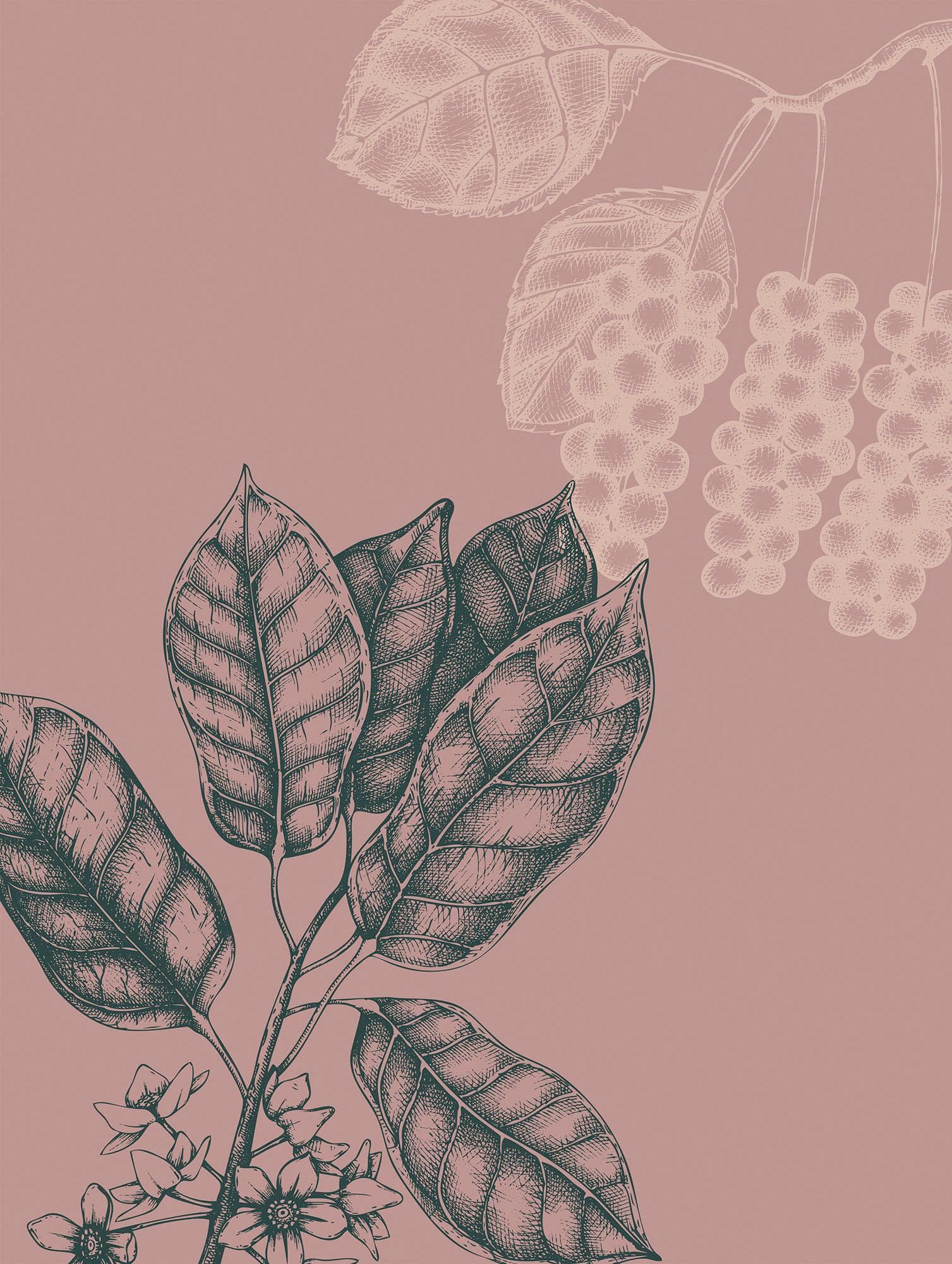 Bild KOMAR Wild Berry Rosa Wandbild