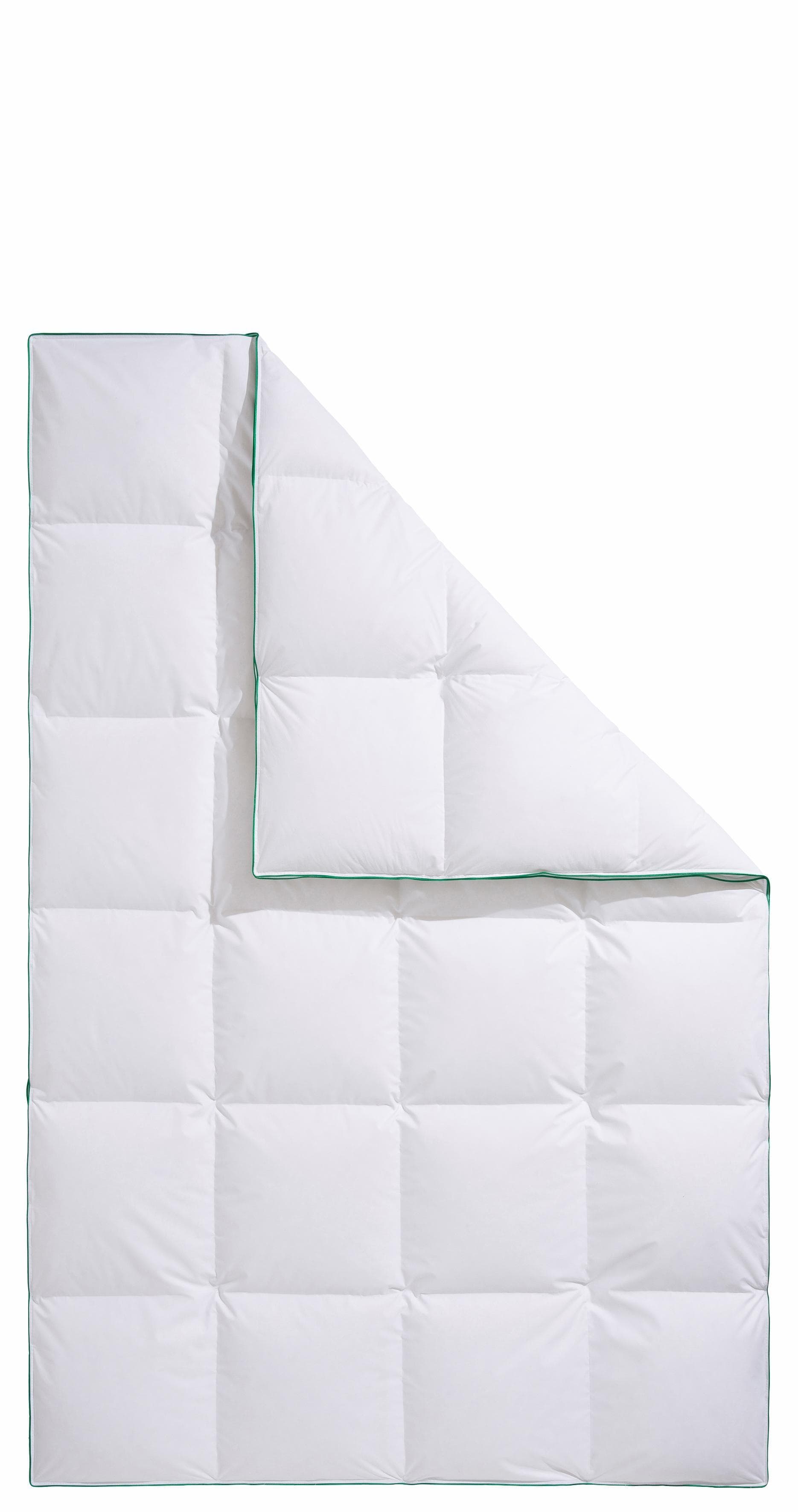 fjödur Daunenbettdecke Fee Weiß 100% Baumwolle Warm