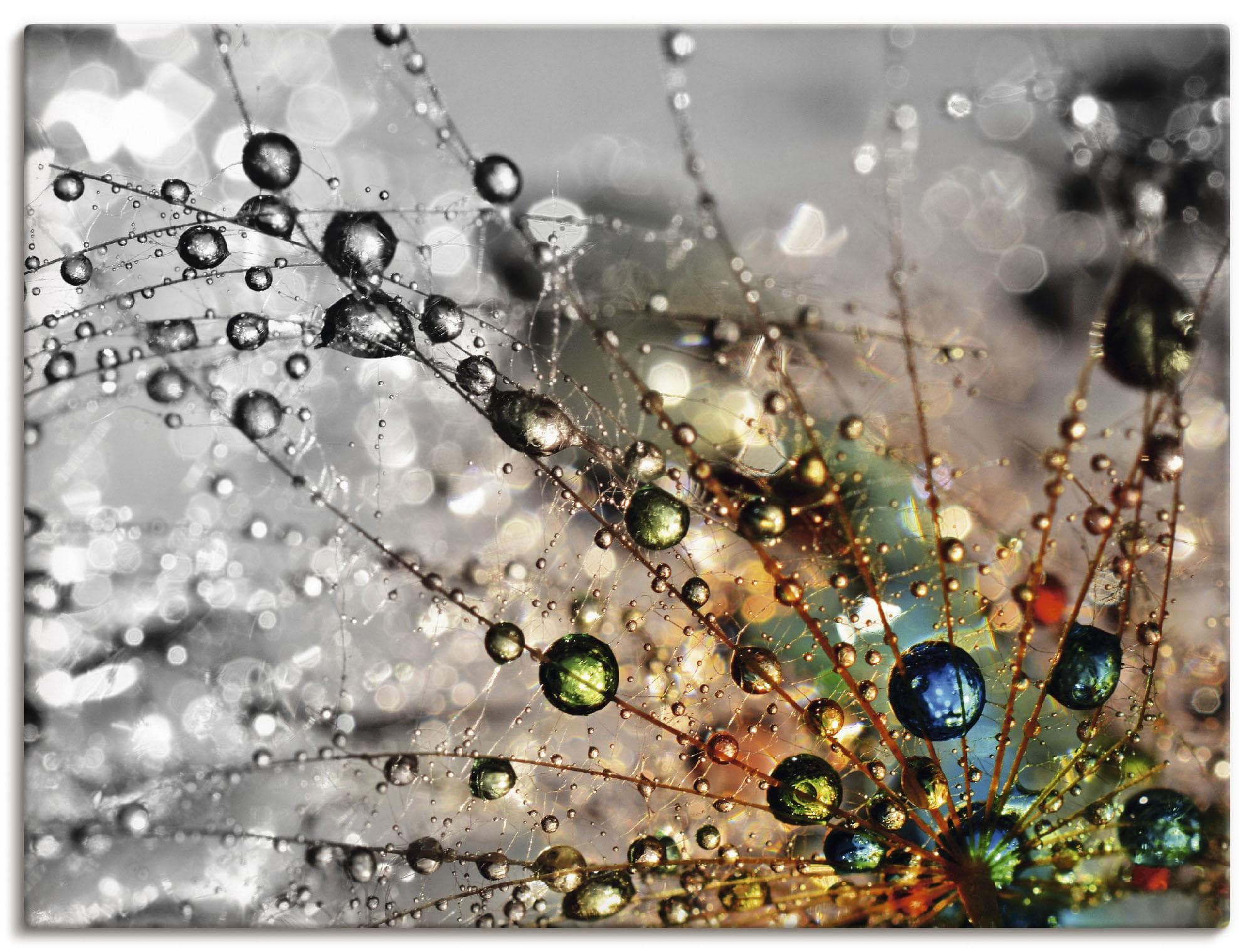 Artland Wandbild Farbenfrohe Natur Blumen Handarbeit