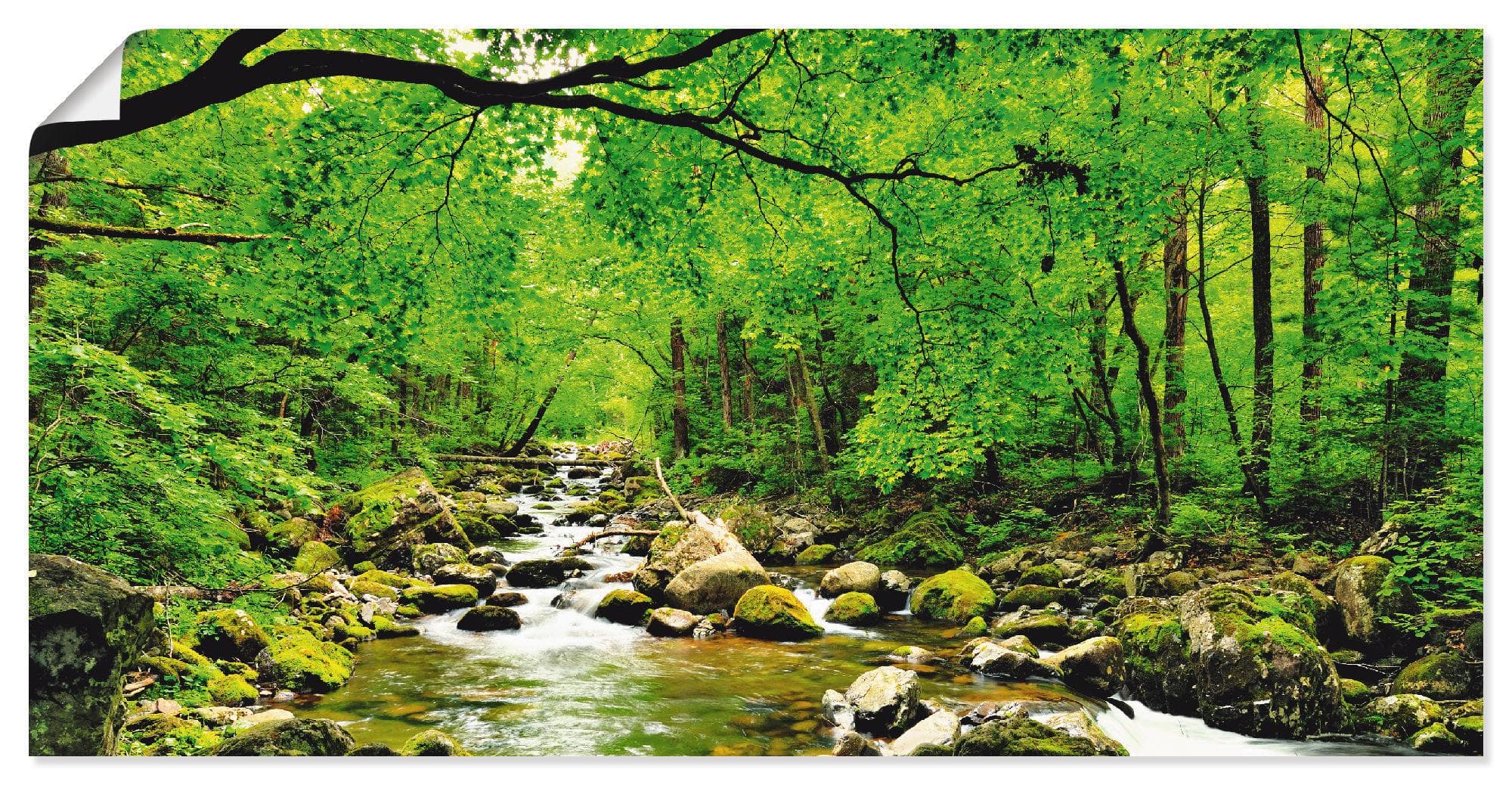 Artland Wandbild Herbstwald Fluss Smolny Grün