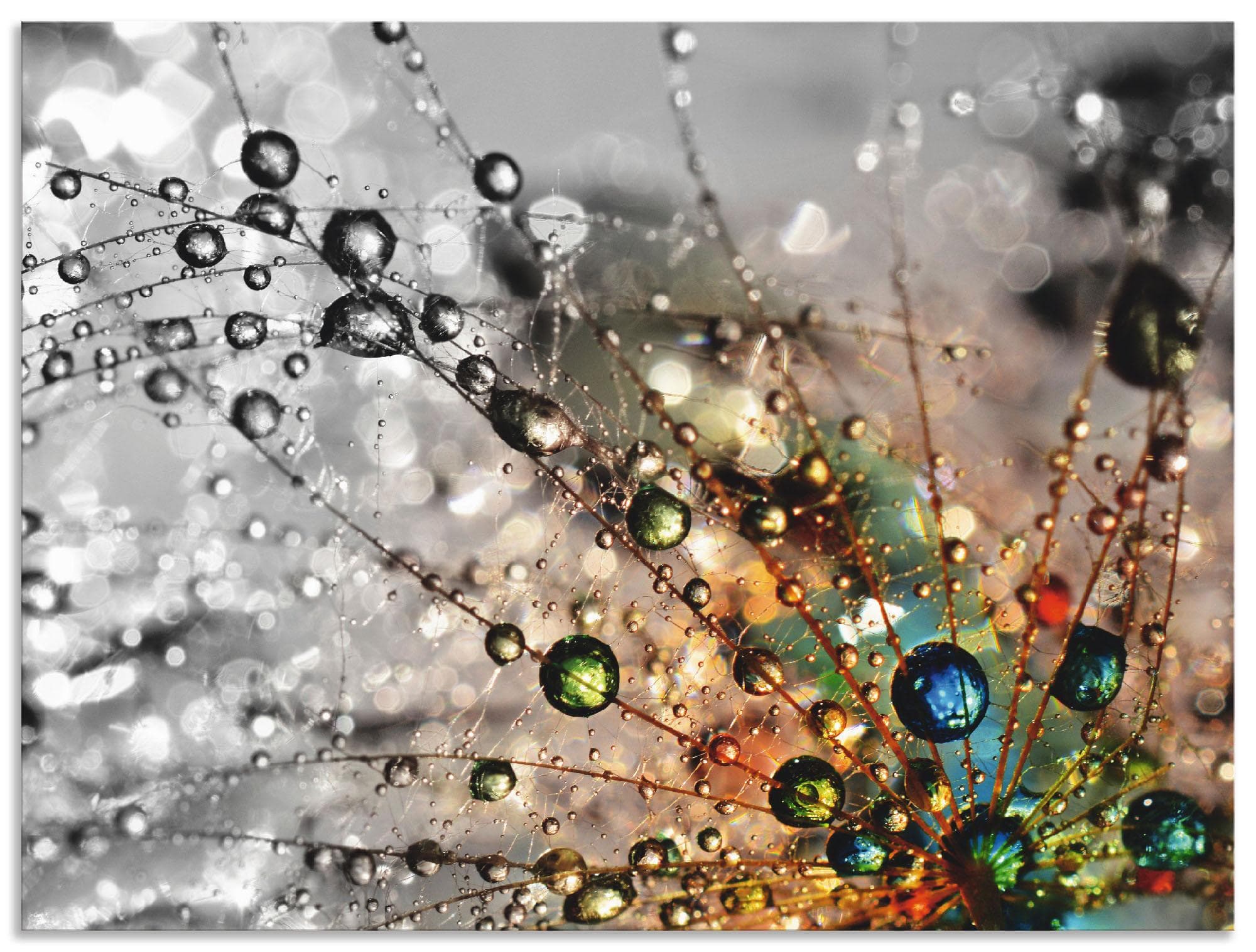 Artland Wandbild Farbenfrohe Natur Blumen Handarbeit