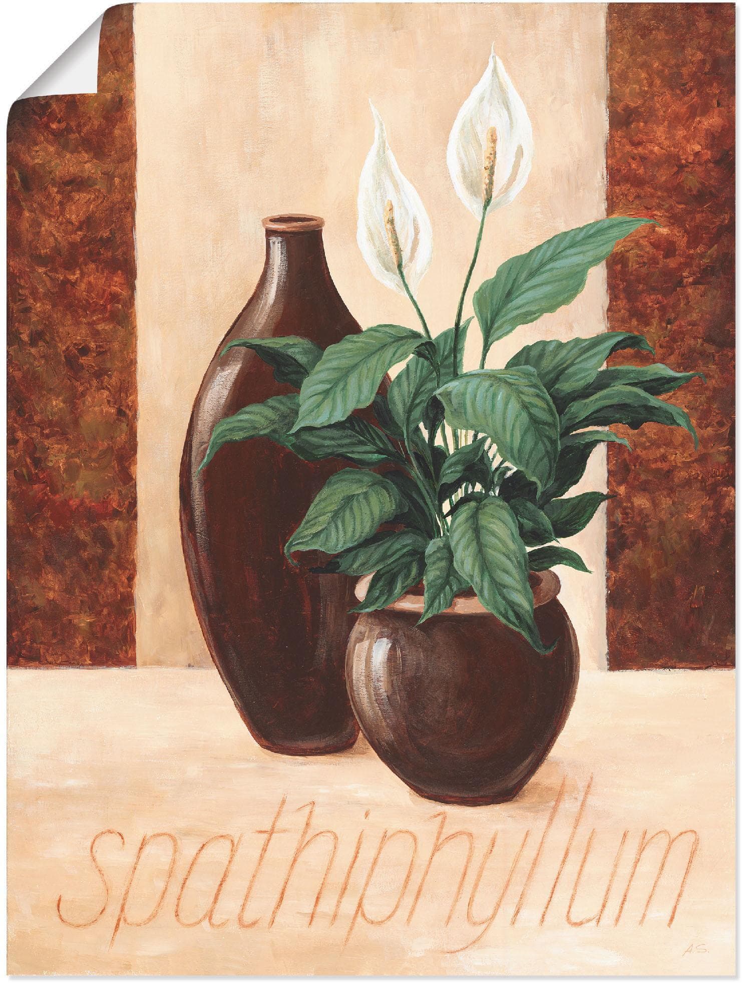 Poster ARTLAND Spathiphyllum Einblatt Pflanzenbilder