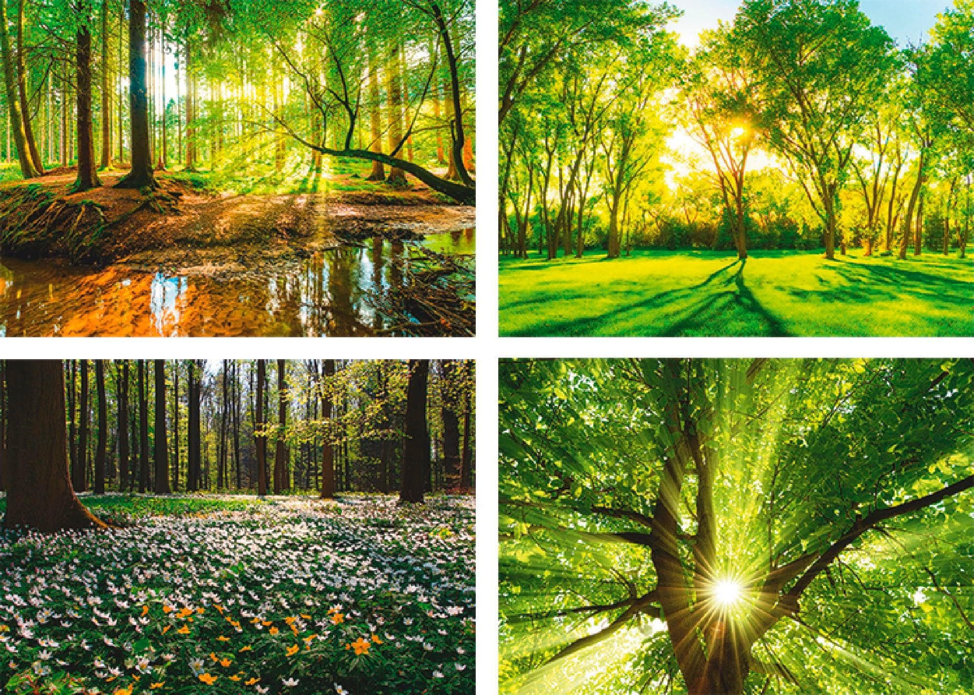 ARTLAND Poster Set 4tlg. Grün Wald Natur Motiv