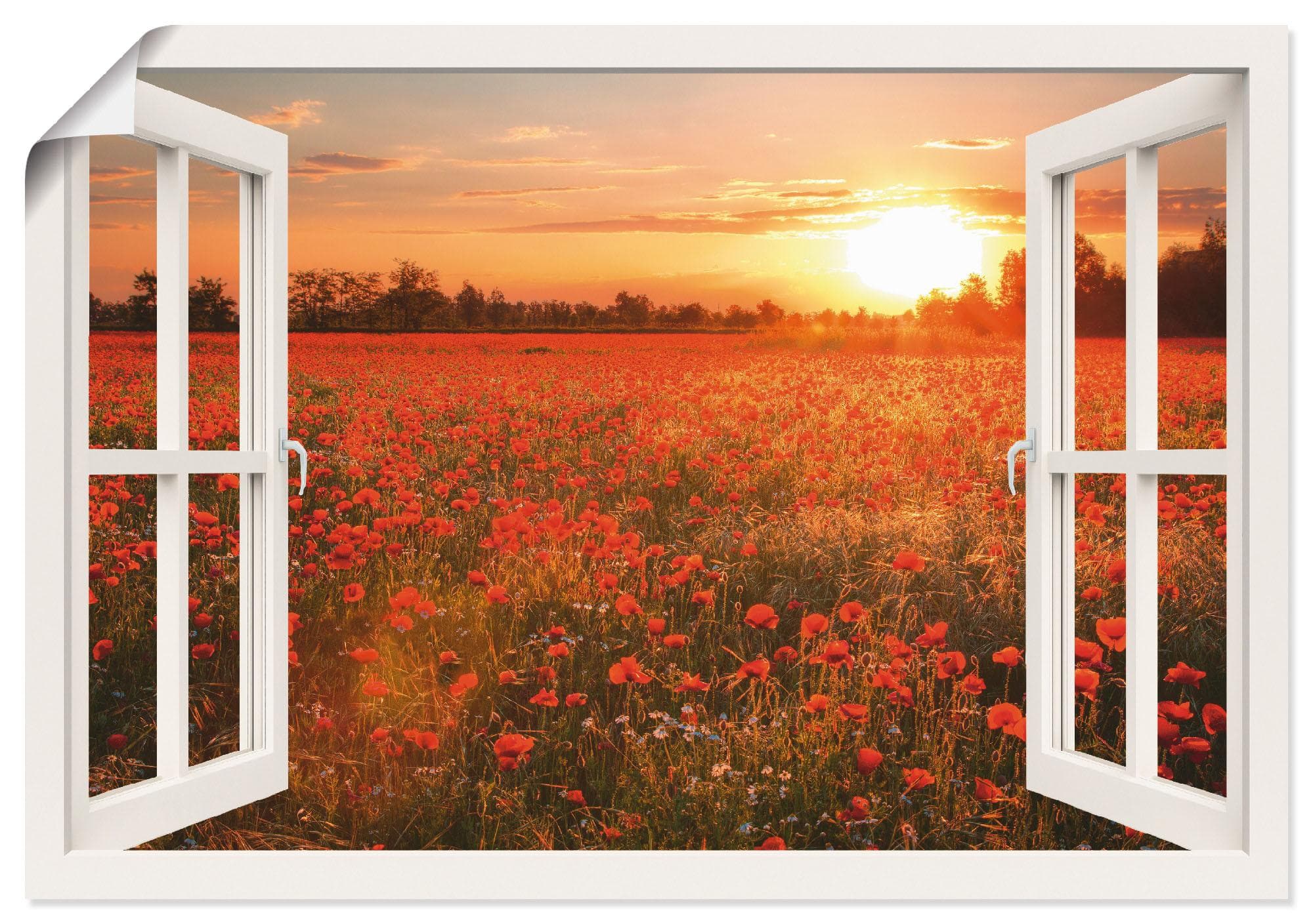 Wandbild ARTLAND Fensterblick Mohnblumenfeld Leinwandbild