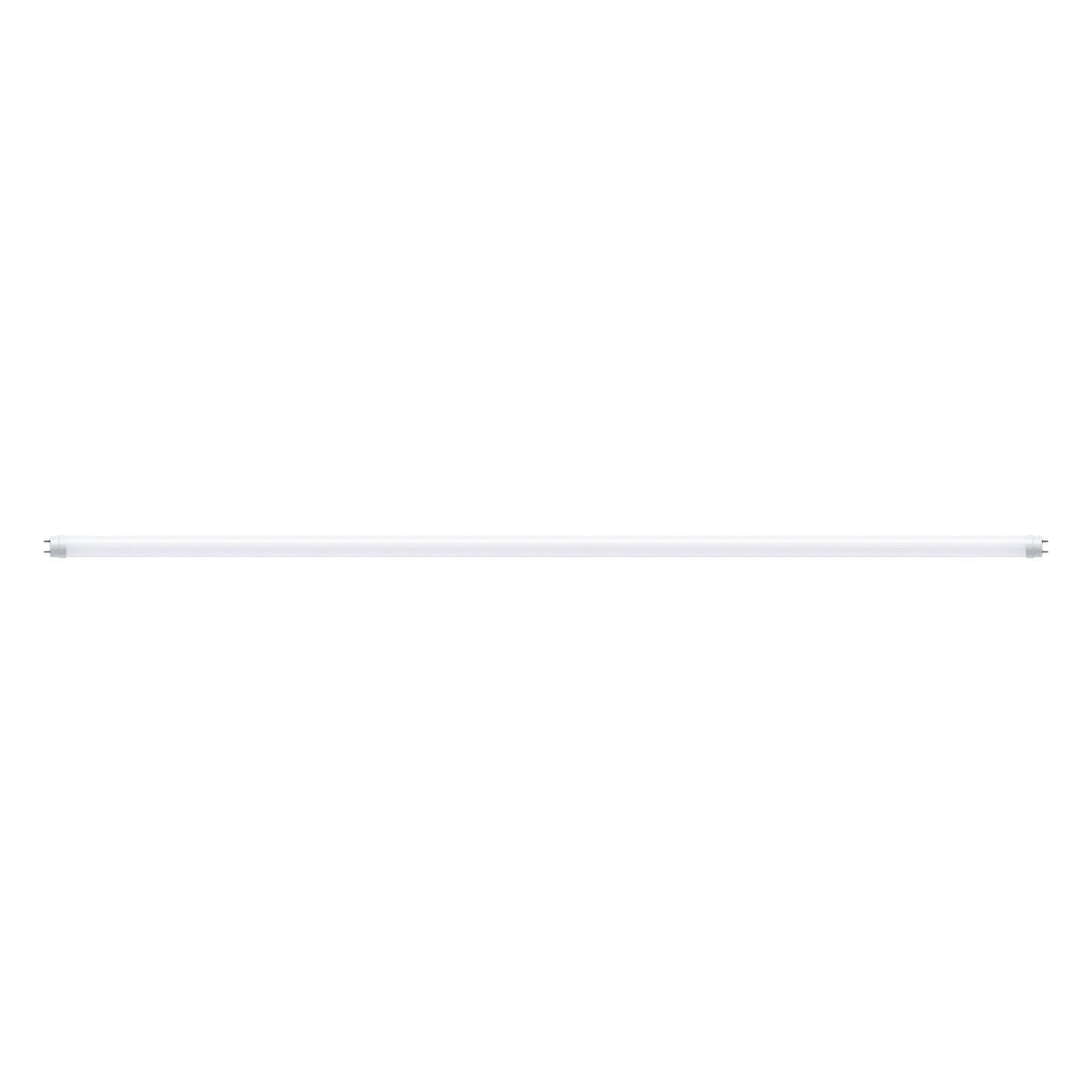 LED-Leuchtmittel Weiß Tageslichtweiß