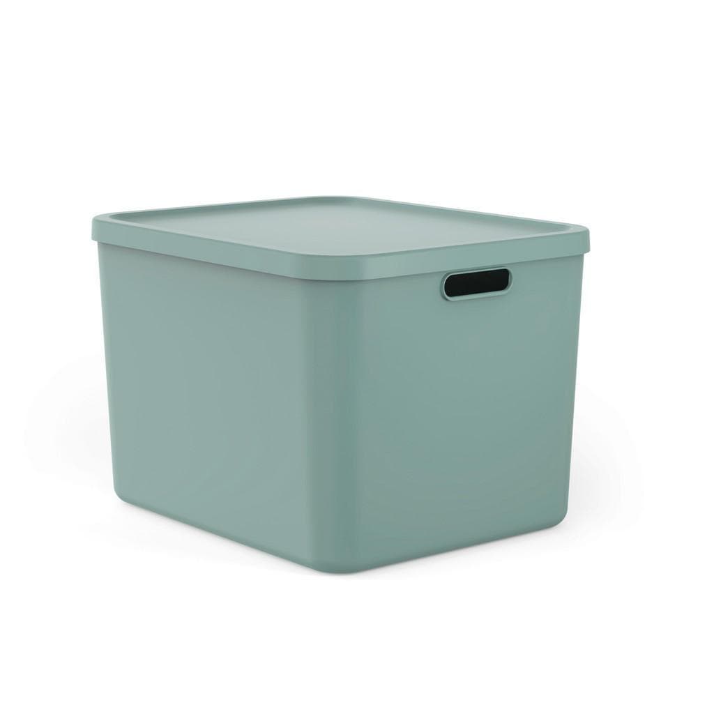 Rotho Aufbewahrungsbox Albula Mintgrün Kunststoff