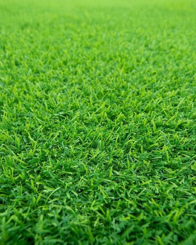 Kuders Rasendünger Wasserspeicher 2,8 kg