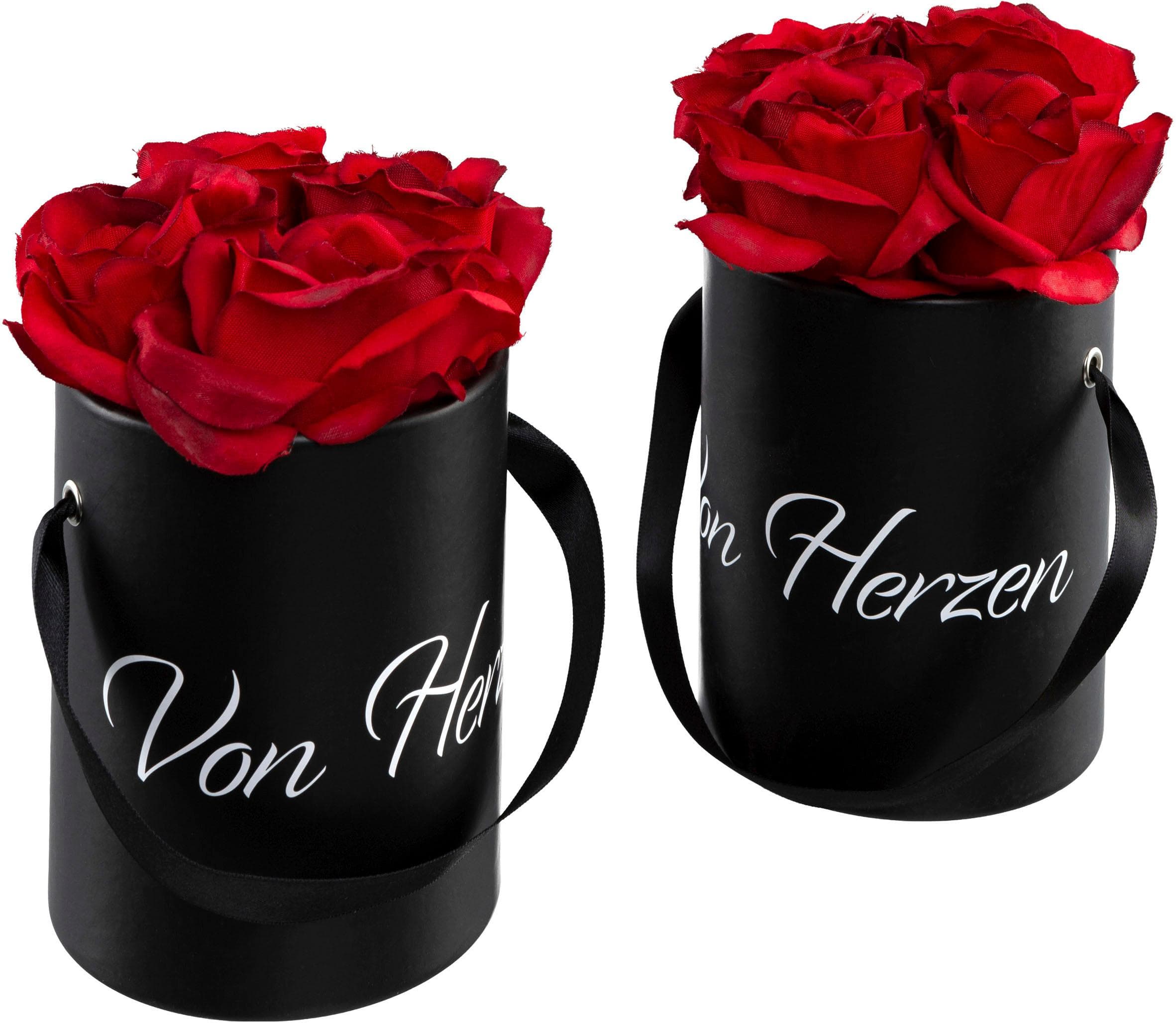 CREATIV GREEN Rosen in Box 2er Set Rot mit schwarzem Übertopf