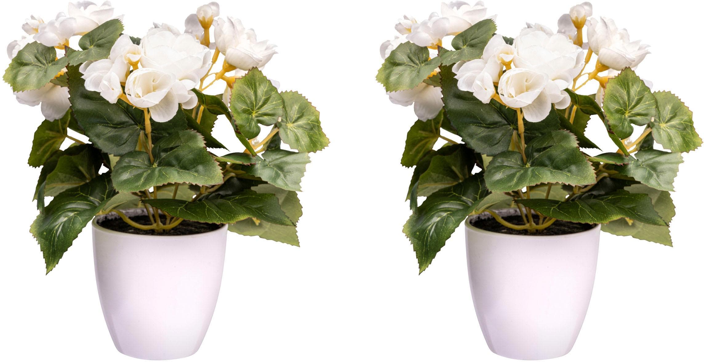 Kunstblume CREATIV GREEN Begonienbusch Creme Kunstpflanzen