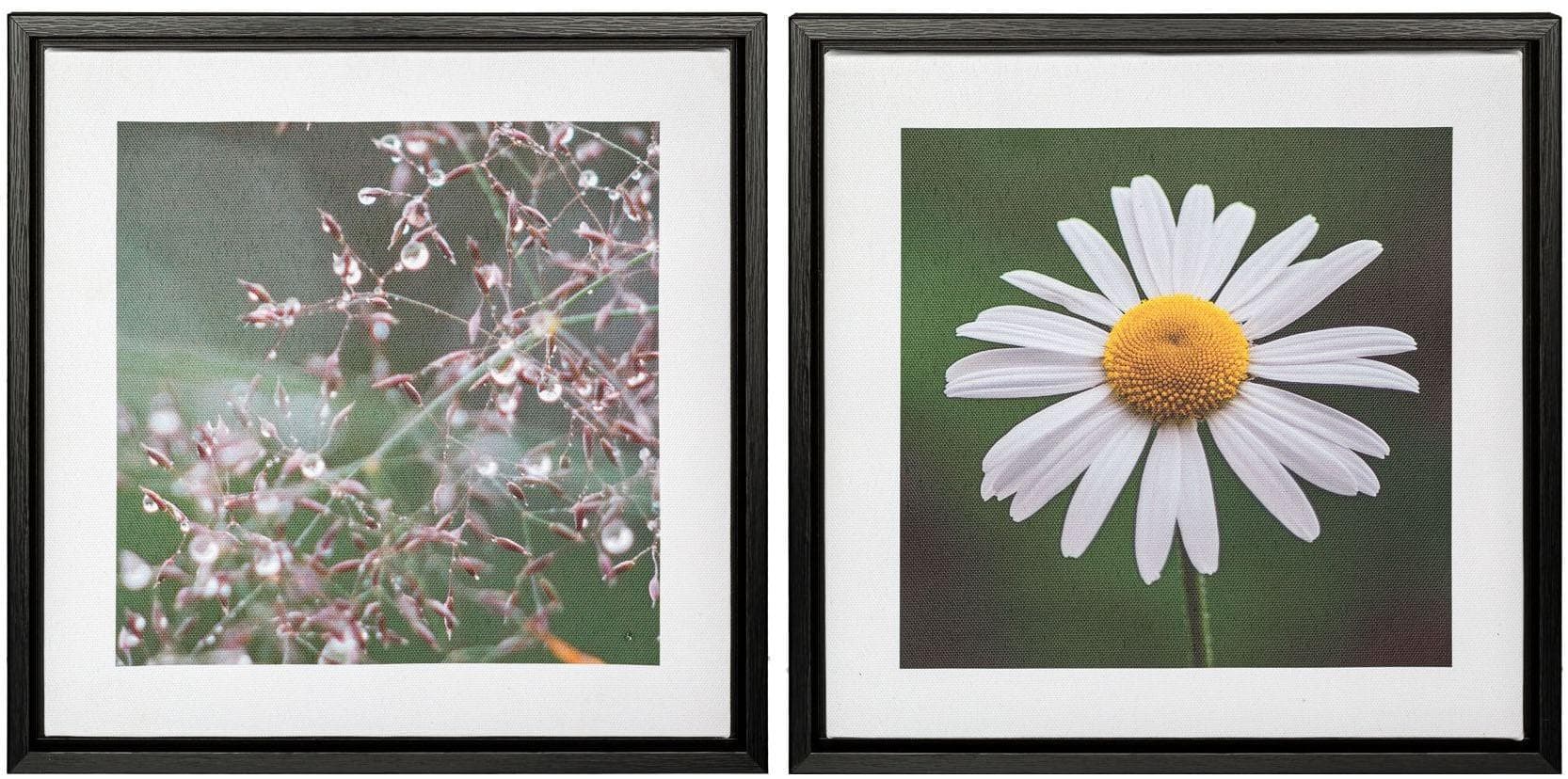 Bild mit Rahmen CREATIV HOME "Blüte und Tau" Grün-Schwarz
