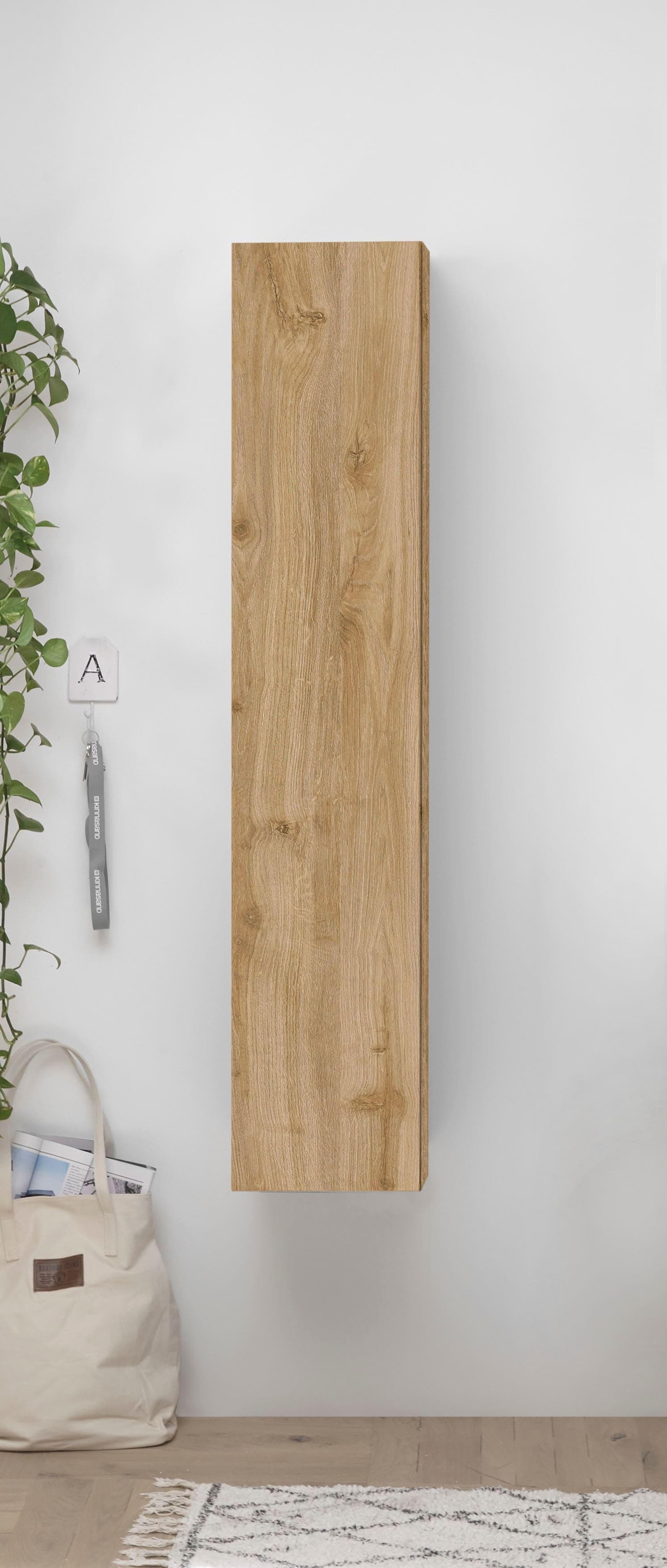 HOME AFFAIRE Infinity Mehrzweckschrank Wandmontage Braun Matt