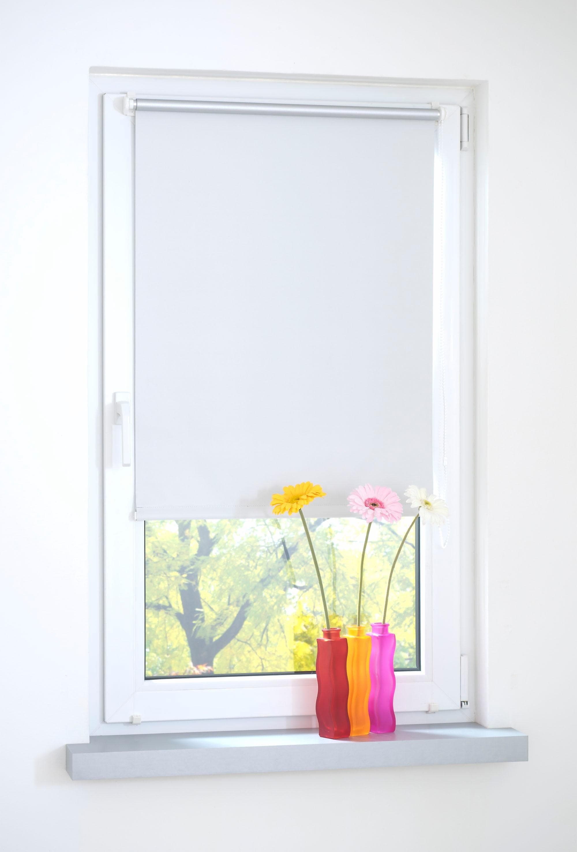 LIEDECO Seitenzugrollo Weiß 45x150 cm Klemmfix