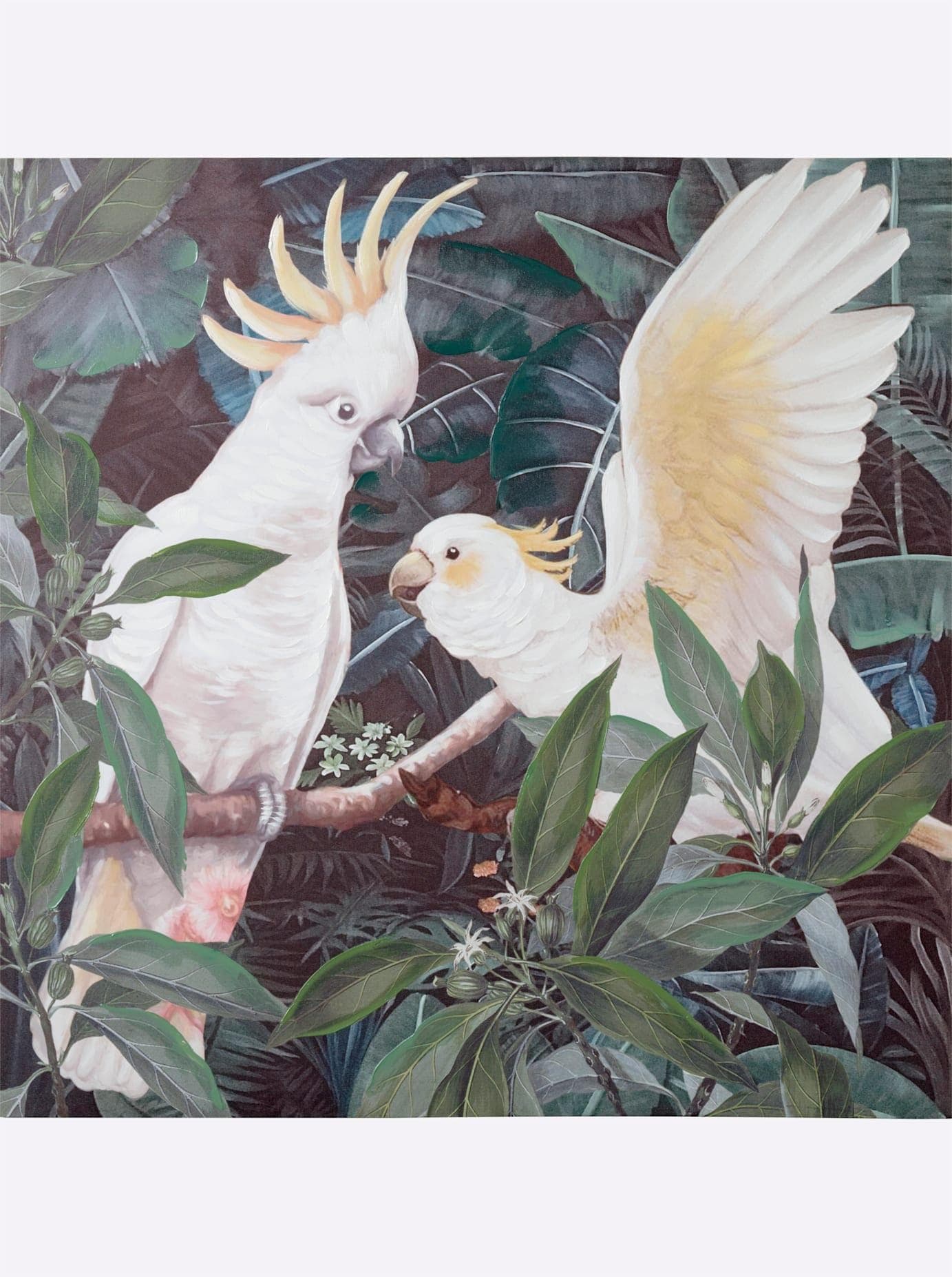 Bild HEINE HOME Kakadu-Motiv Grün-Weiß