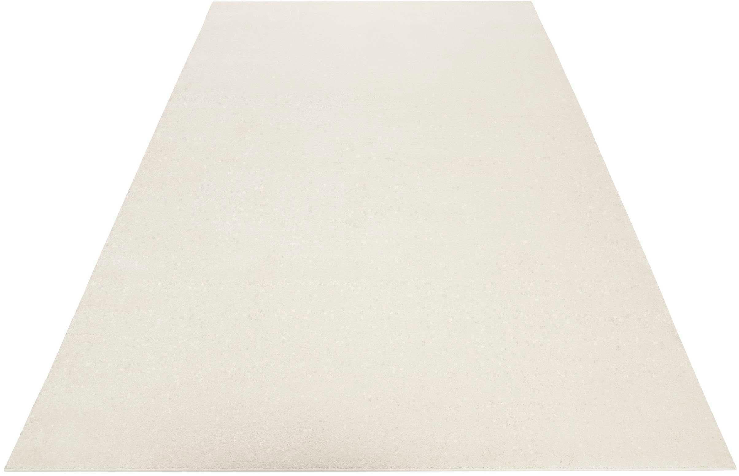 Esprit Campus ESP-0035 Teppich Cremeweiß Flauschig