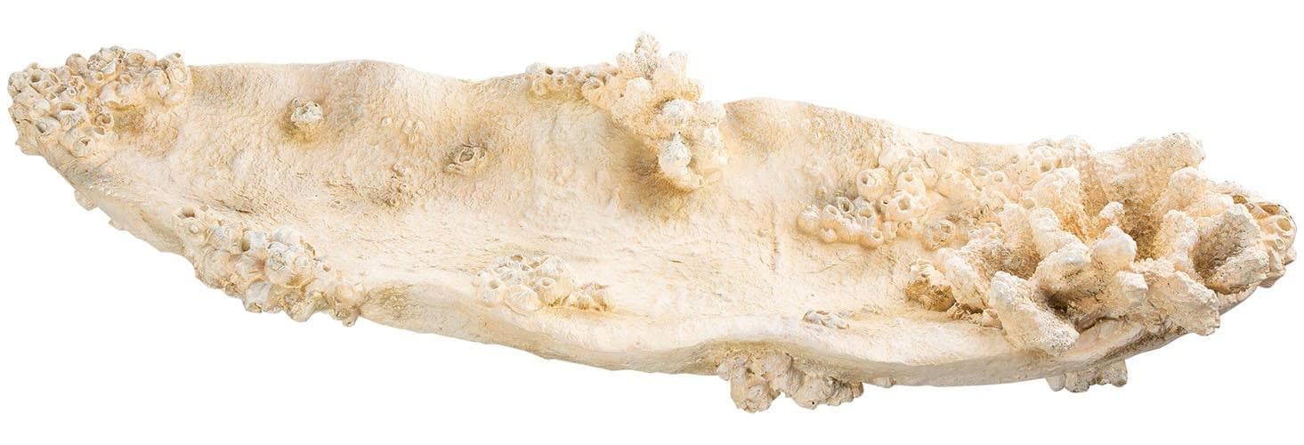 Dekoschale GILDE "Schale Amphora Seychelles weiß"