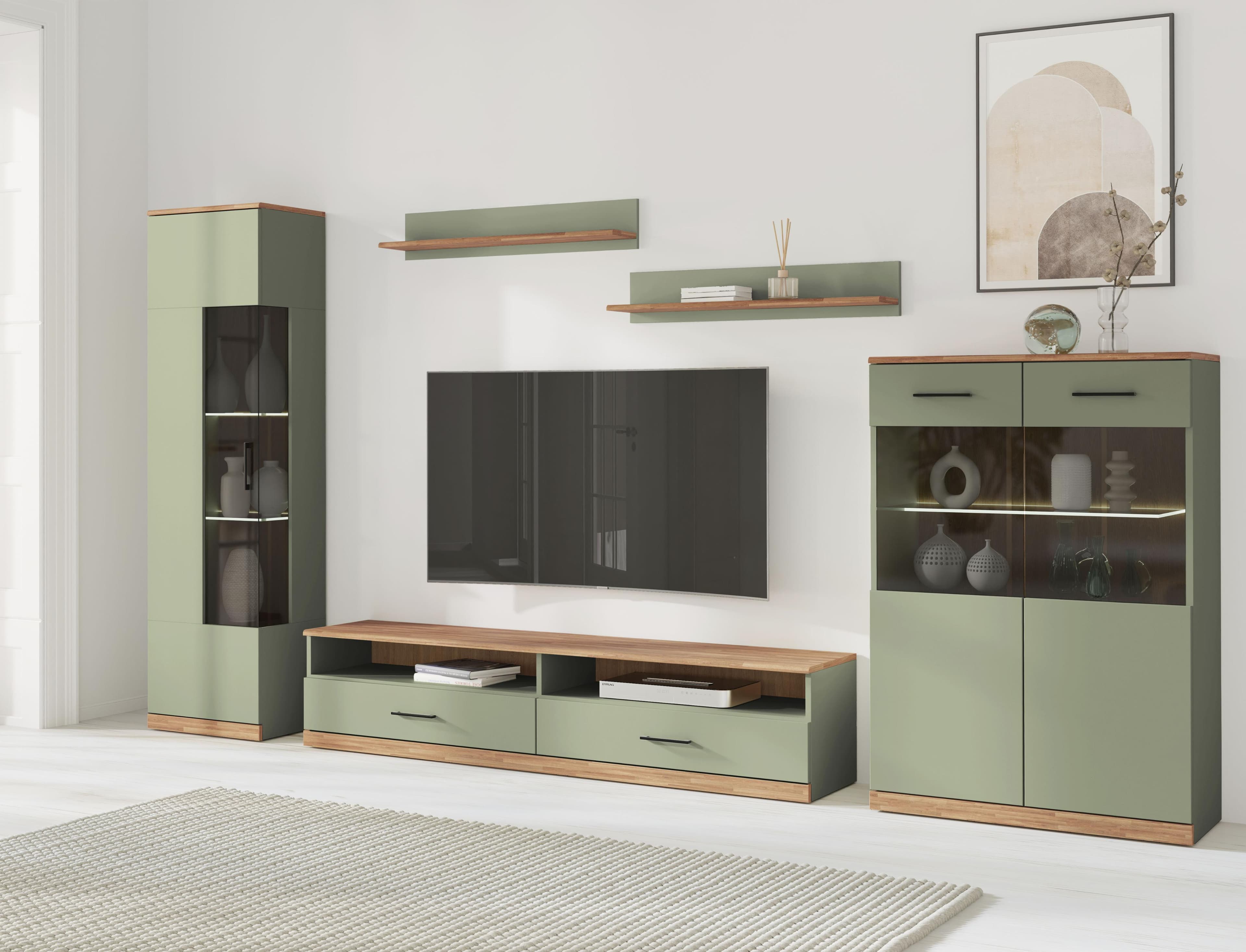 Moderne Wohnwand aus Holzwerkstoff, Massivholz, Glas, Metall, Holz, Plastik