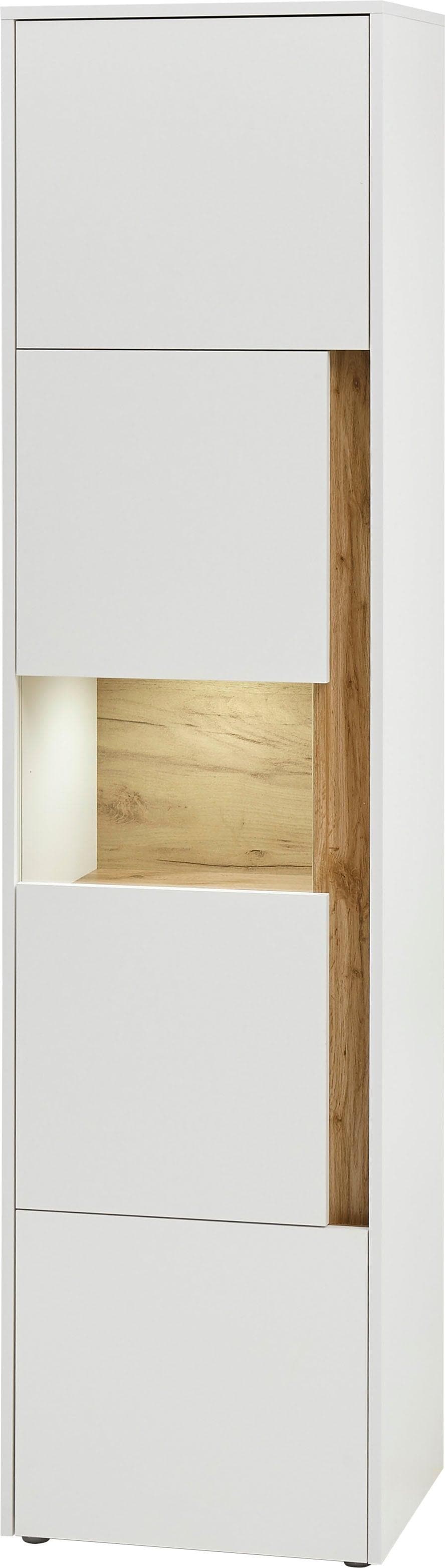 Moderne Vitrine aus Glas mit edlem Design