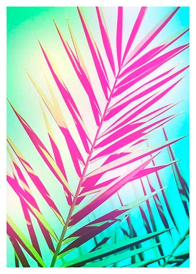 Komar Poster Shine Bunt Palmwedel Wandbild 30x40 cm