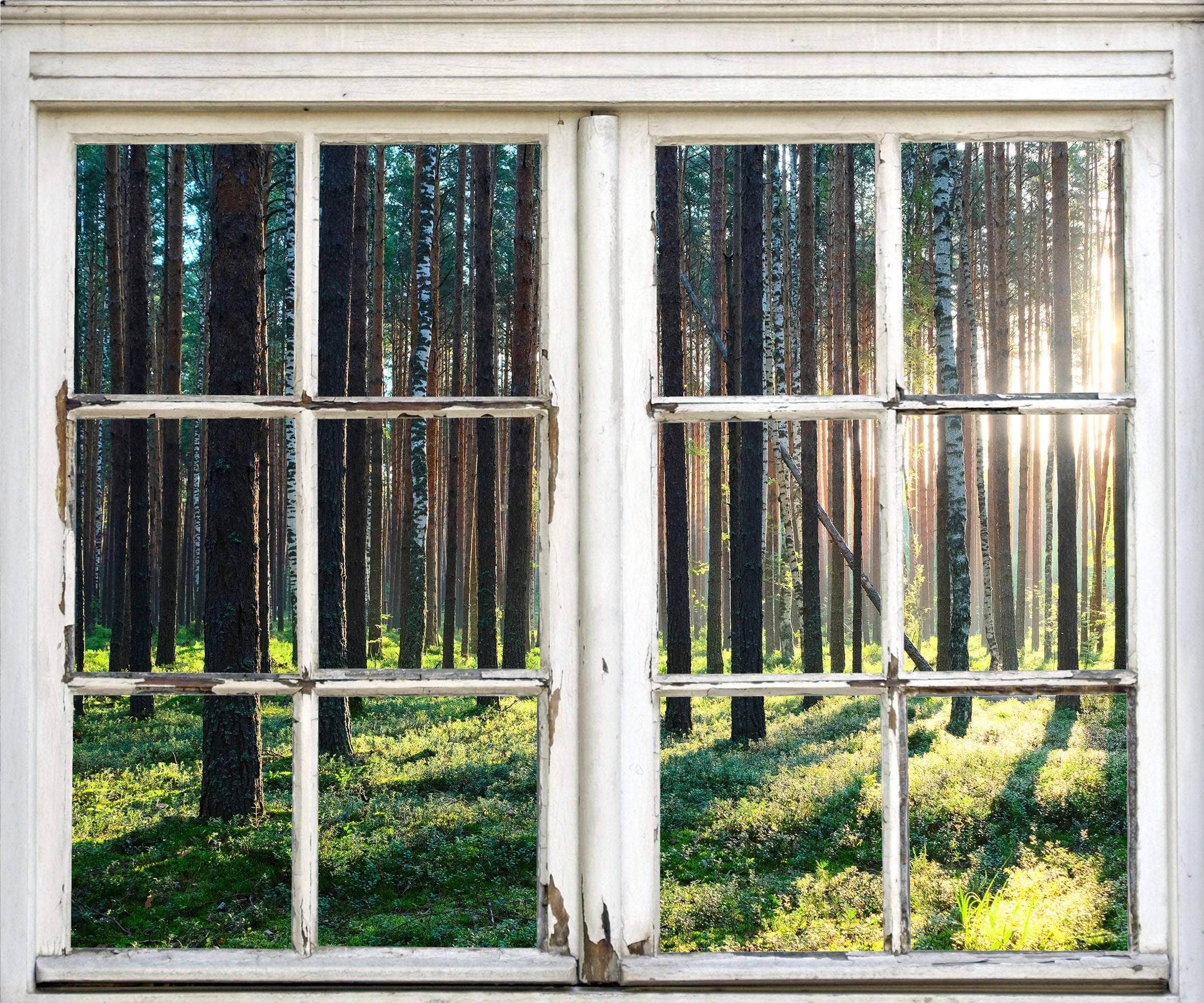 Wandsticker QUEENCE Wald Beige Natur 3D Fenster