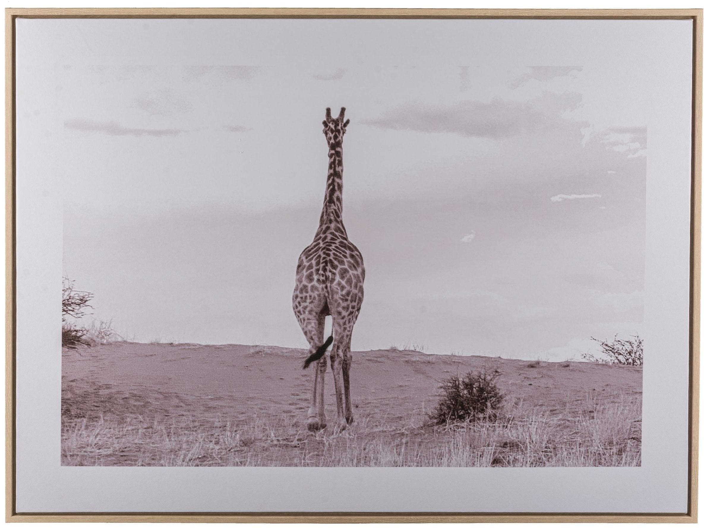 CREATIV HOME Bild mit Rahmen Giraffe schwarz-weiß hellbraun