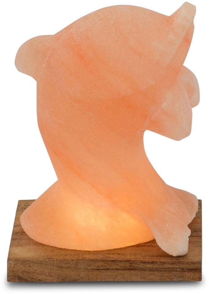 HIMALAYA SALT DREAMS Salzkristall-Tischlampe Delfin LED Warmweiß