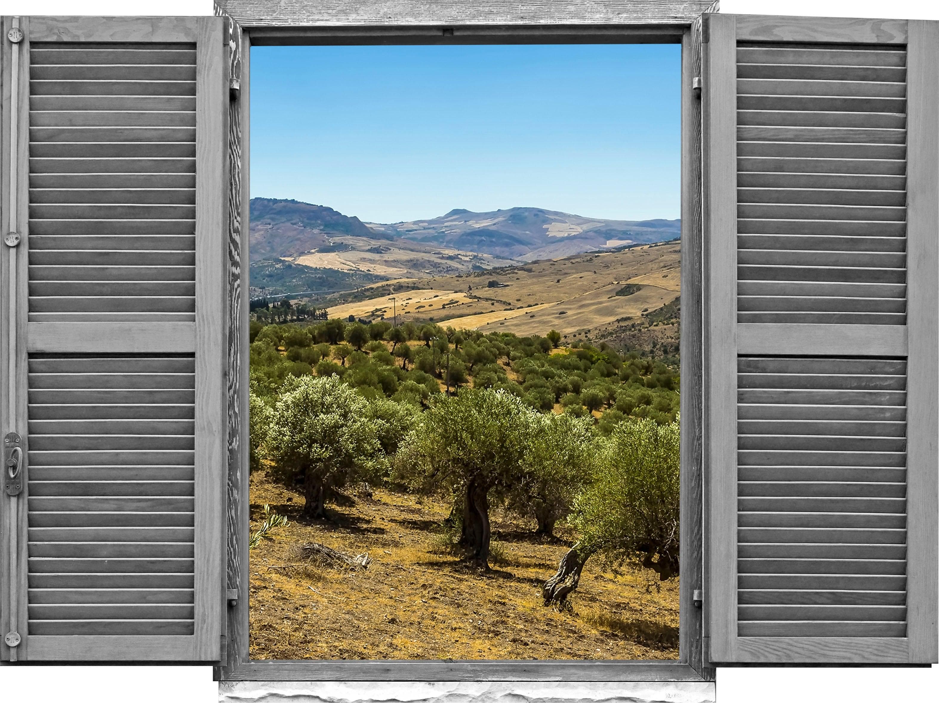 QUEENCE Wandtattoo Landschaft von Olivenbäumen Grün 3D