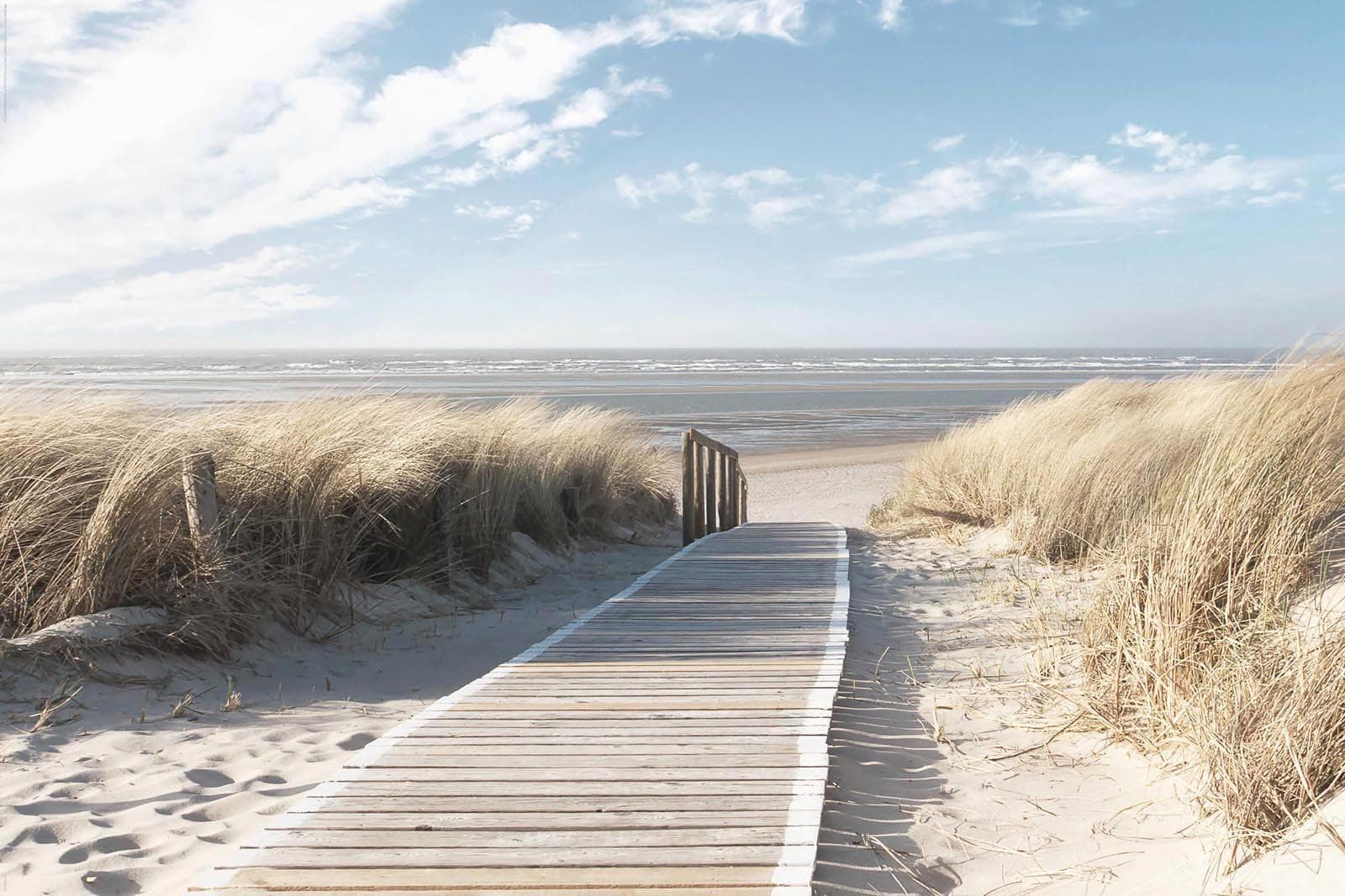 Deco-Panel REINDERS Nordsee Dünen Khaki 90x60 cm