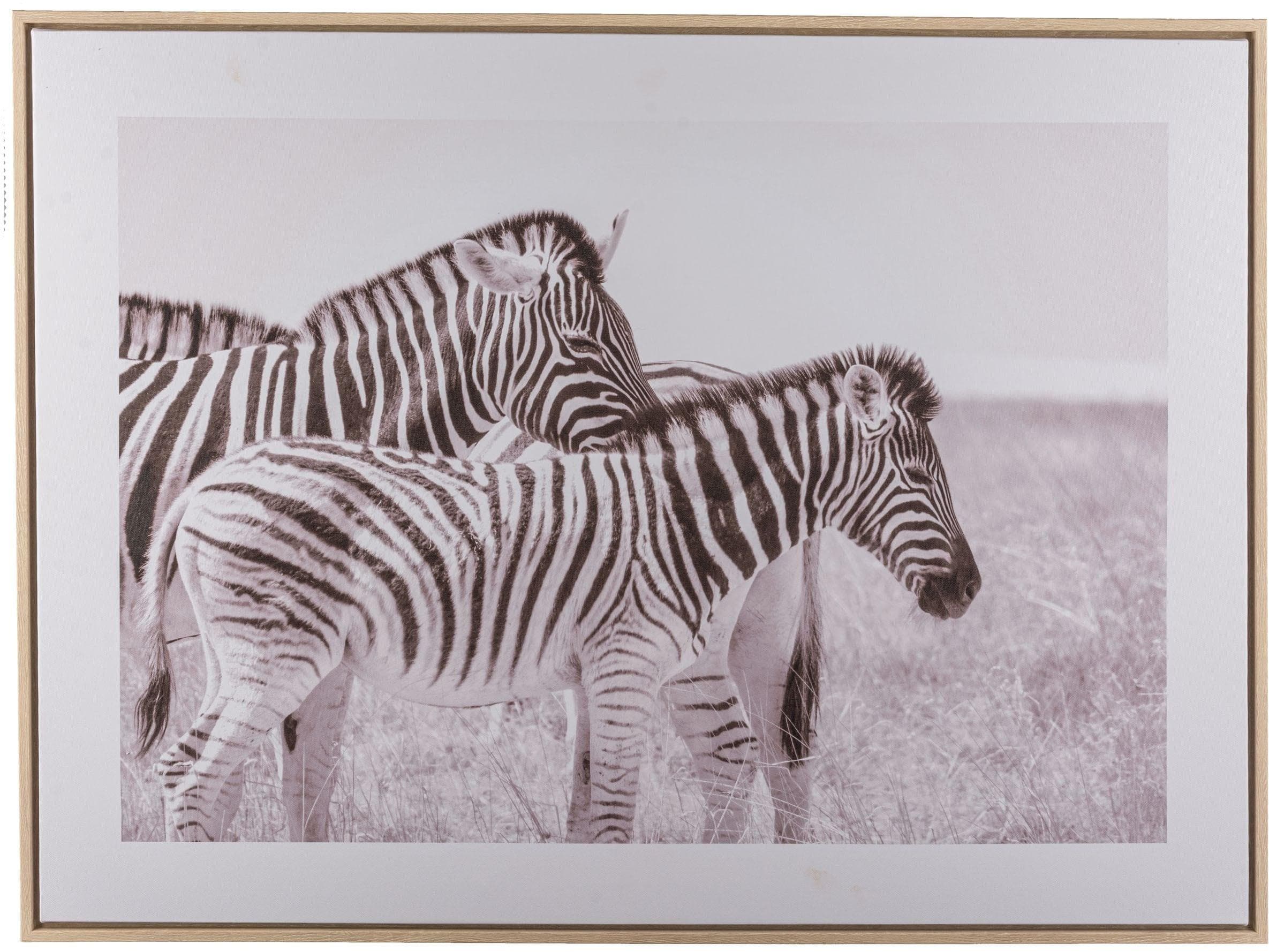 Bild mit Rahmen CREATIV HOME Zebra schwarz-weiß 80x60cm