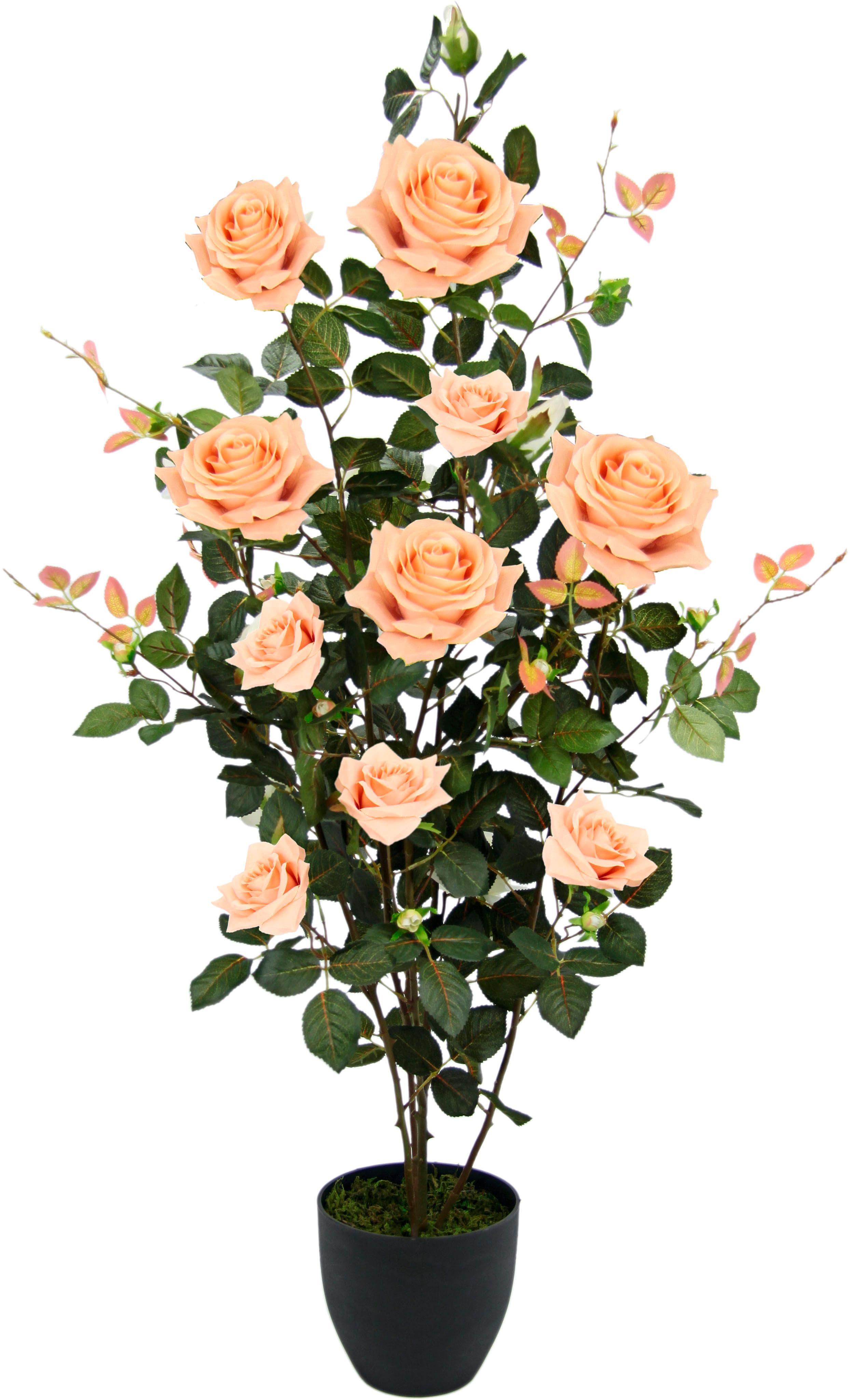 I.GE.A. Rosenbusch Kunstbaum - Dekorativ & Pflegeleicht für Innen & Außen