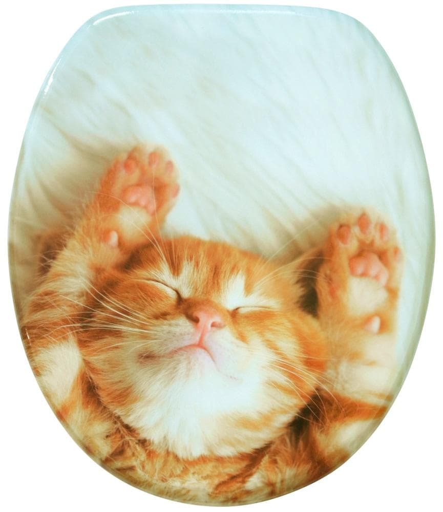 Sanilo WC-Sitz Lilly Braun/Weiß mit Absenkautomatik