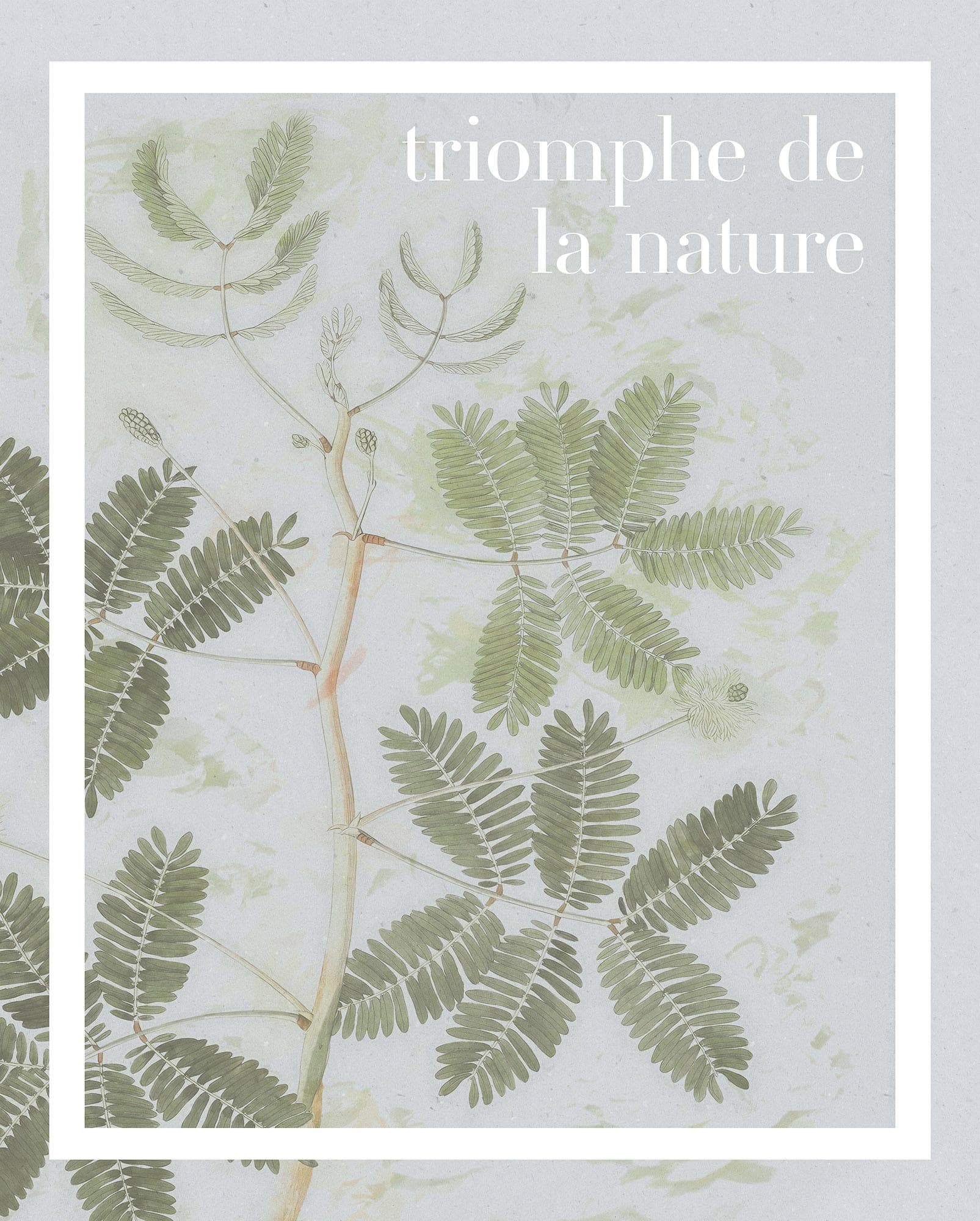 Komar PLANT ART Triomphe de la nature Wandbild Blau Natur