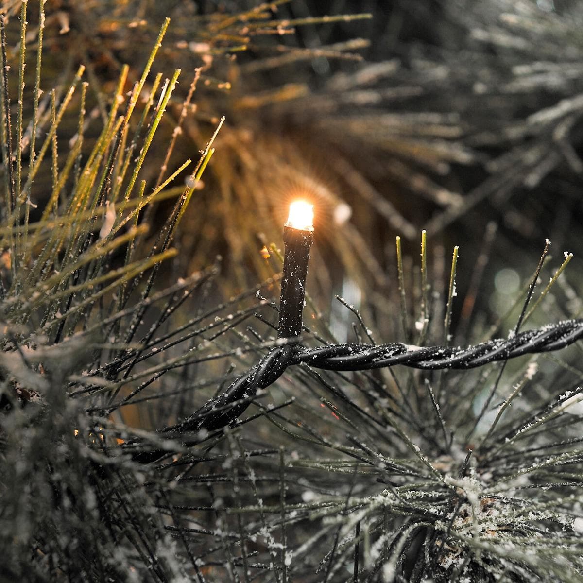 Konstsmide LED-Lichterkette 400 bernsteinfarbene Dioden App-gesteuert