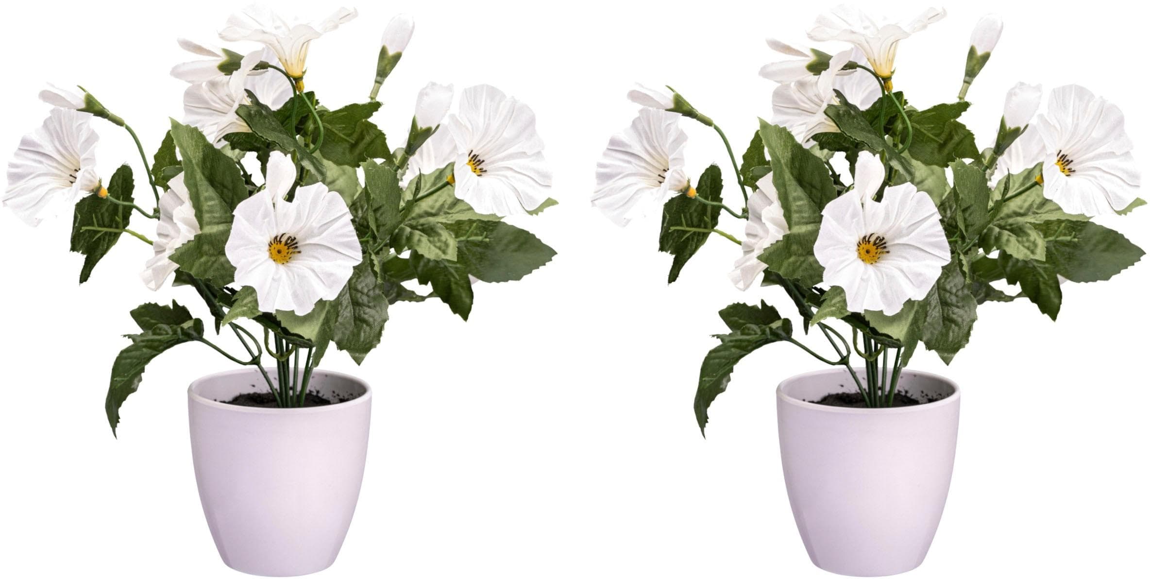 Creativ Green Kunstblume Petunie Weiß 28cm 2er Set