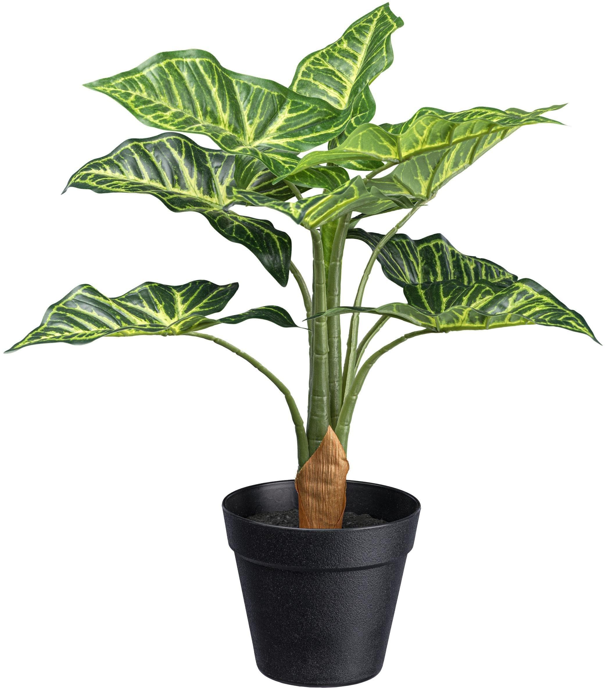 Creativ Green Künstliche Zimmerpflanze Syngonium Grün mit 10 Blättern