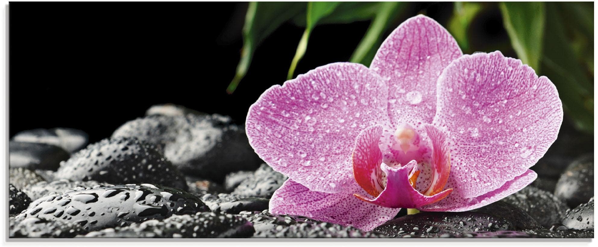 Artland Glasbild Rosa Orchidee auf schwarzen Zen Steinen