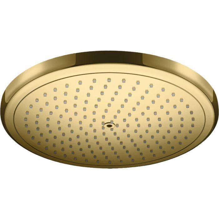 Hansgrohe 26220990 1jet Polierte Goldoptik