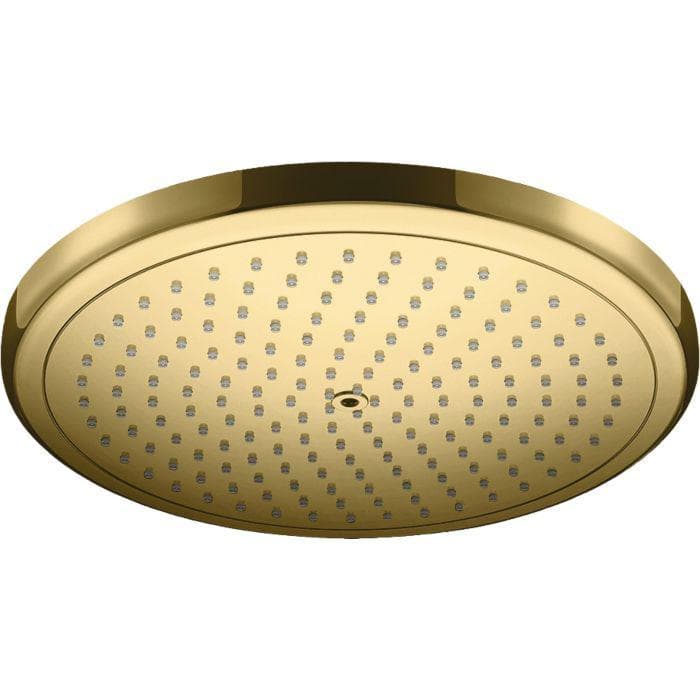 Hansgrohe 26221990 1jet 8,5 l/min Polierte Gold-Optik