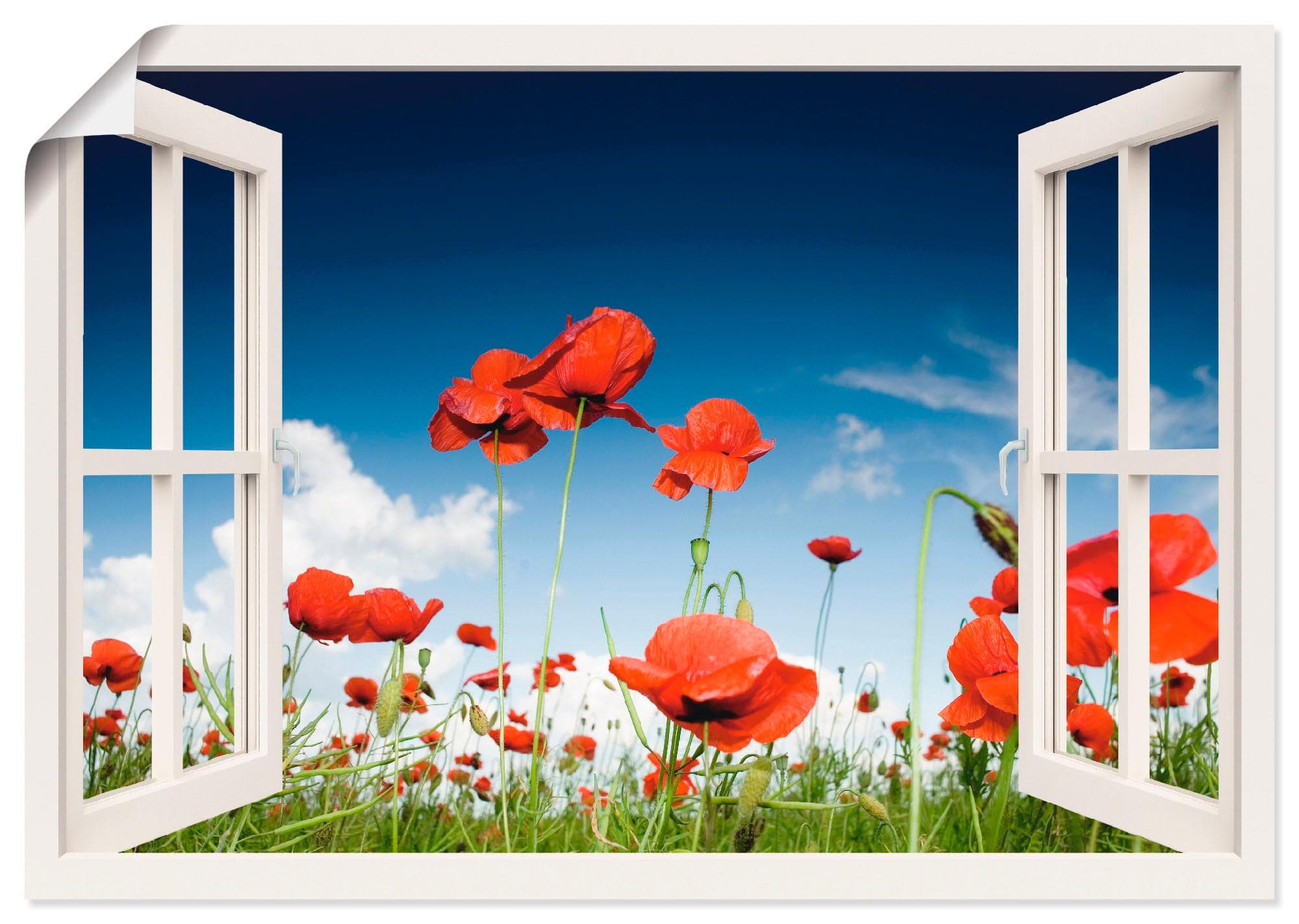 Poster ARTLAND Fensterblick Feld mit Mohnblumen Weiß