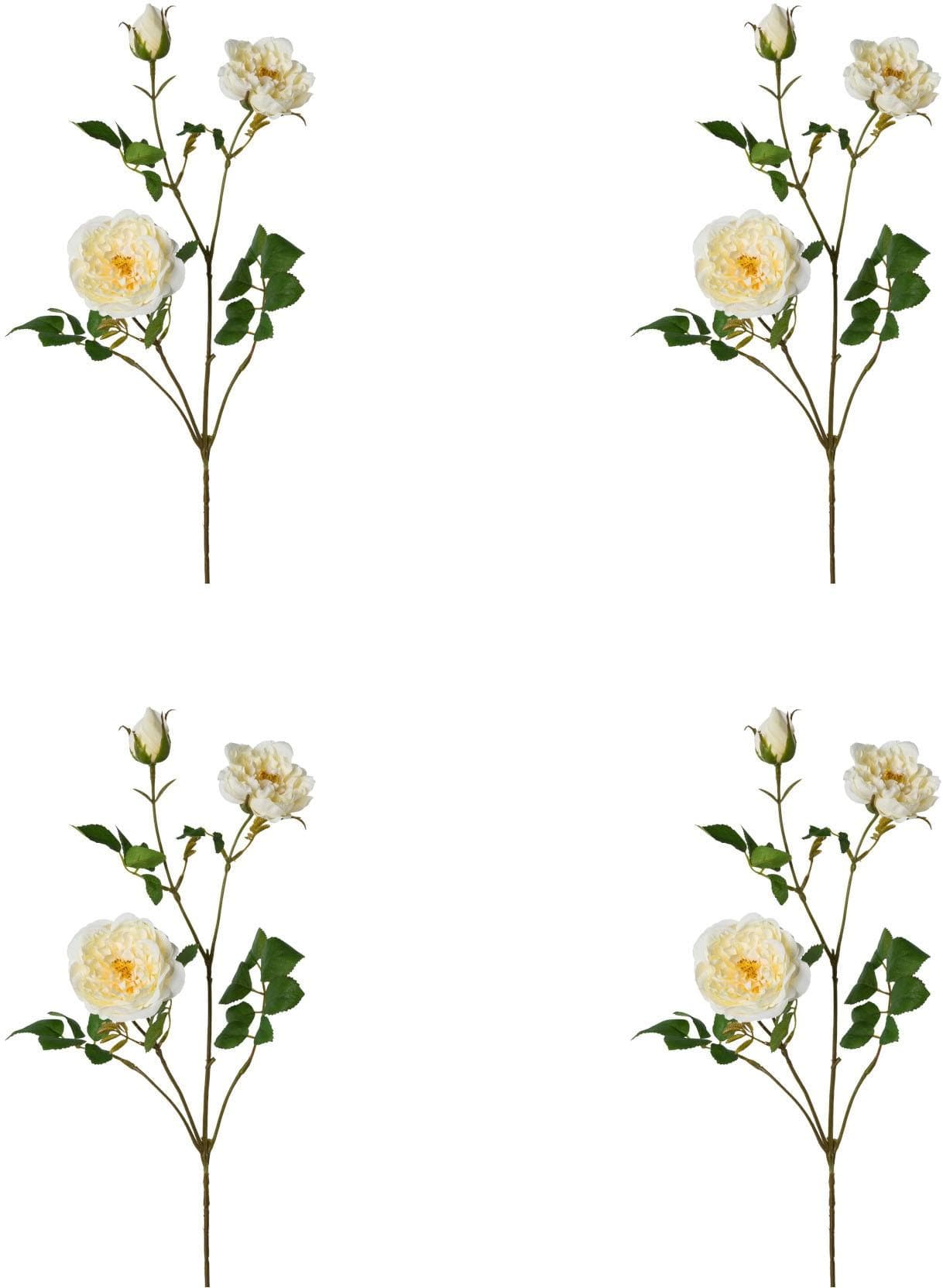 Kunstblume CREATIV GREEN "Rosenzweig" Champagner