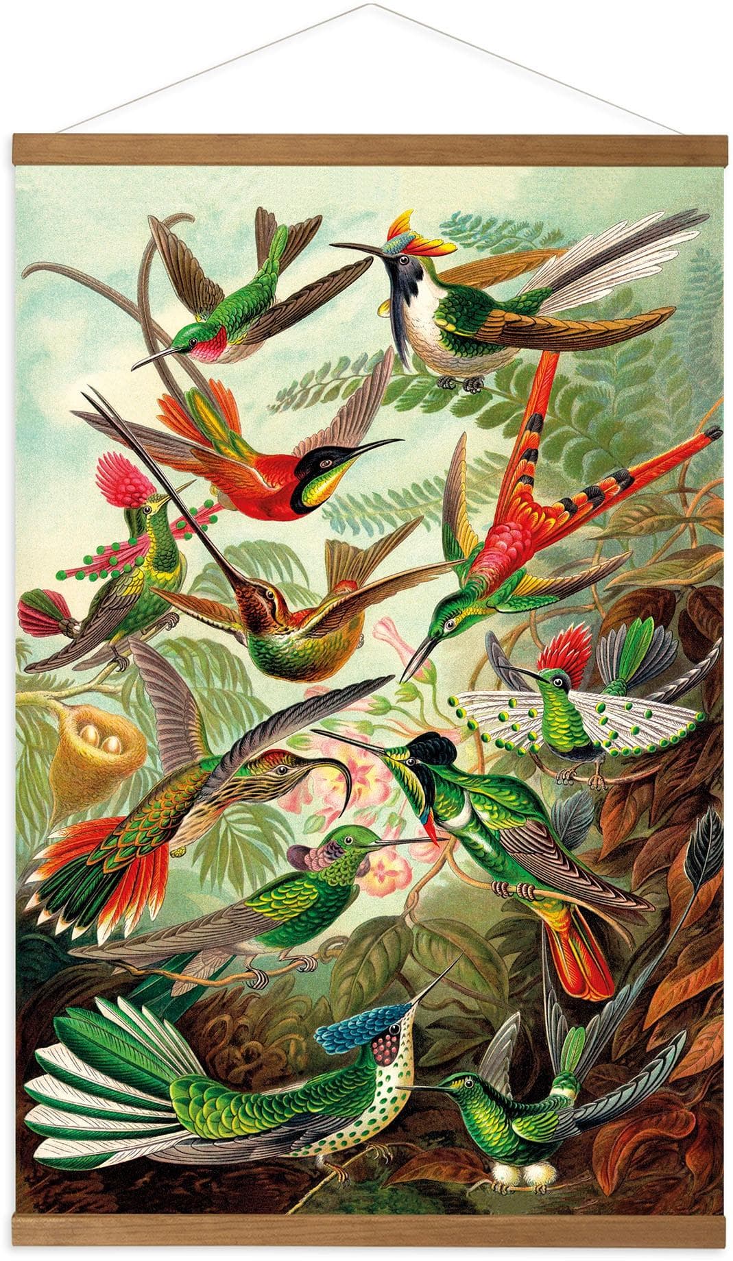 Leinwandbild ART FOR THE HOME Hummingbirds Bunt Kakemono Wandposter