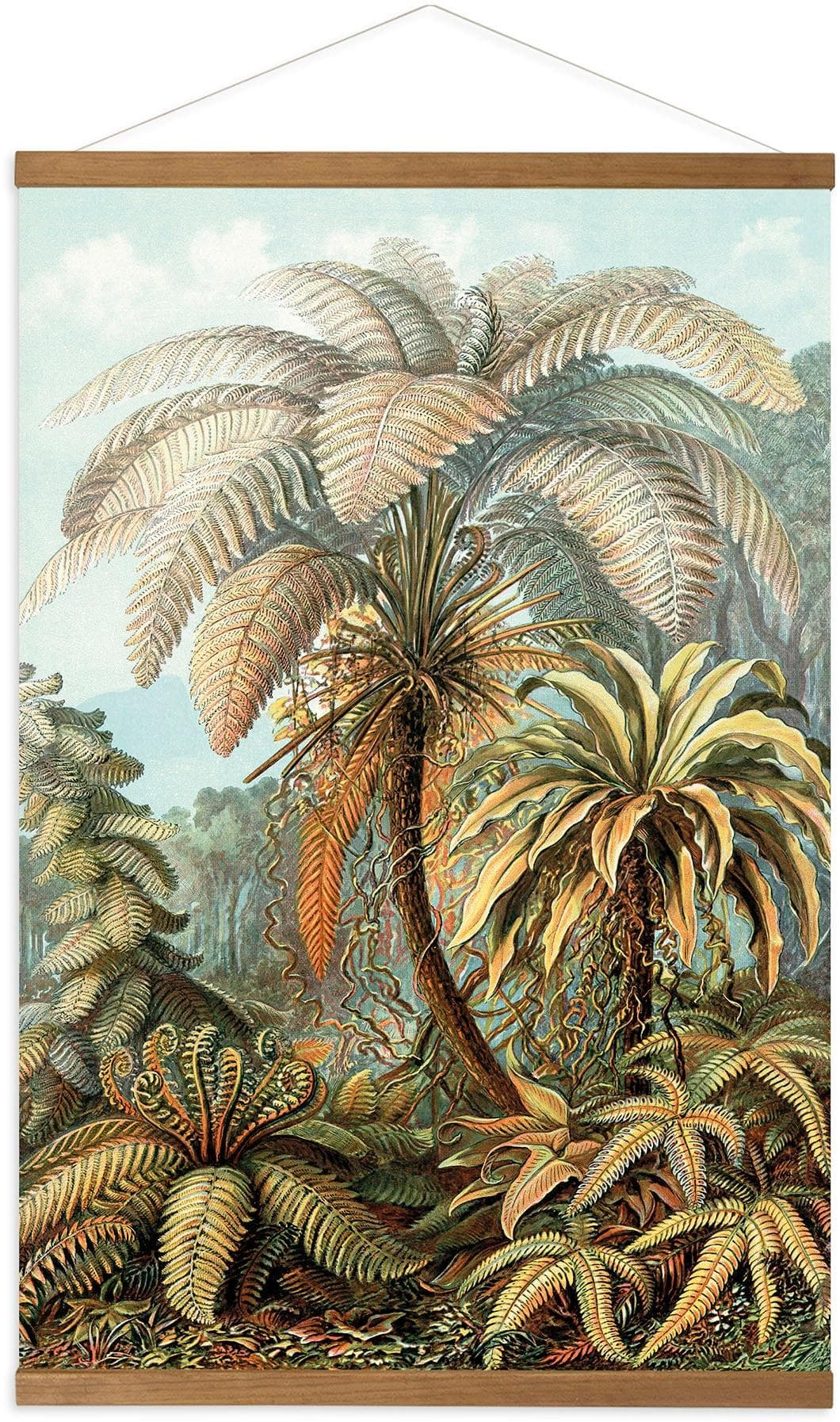 ART FOR THE HOME Leinwandbild Jungle Filicinae Bunt Botanisches Wandposter