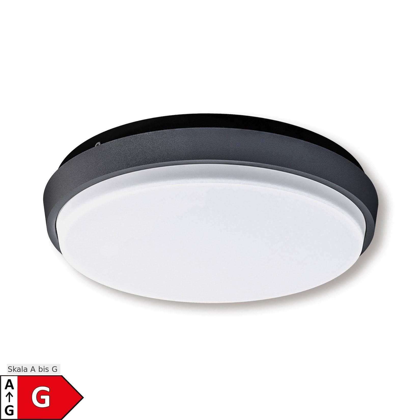 Näve LED Außenwandleuchte IP54 Mio Weiß Anthrazit