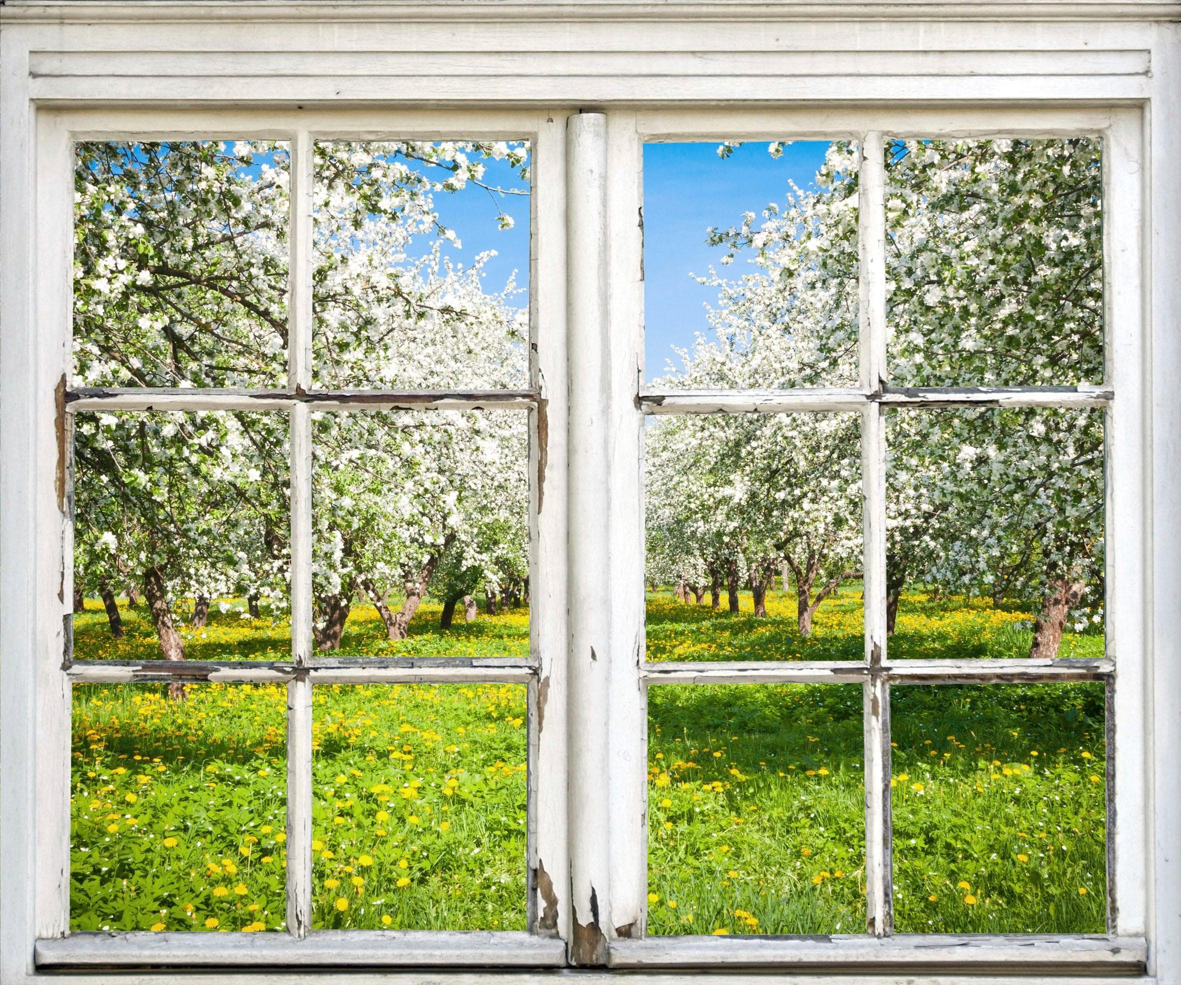 queence 3D Wandsticker Wiese mit Bäumen - Selbstklebend und Vielseitig