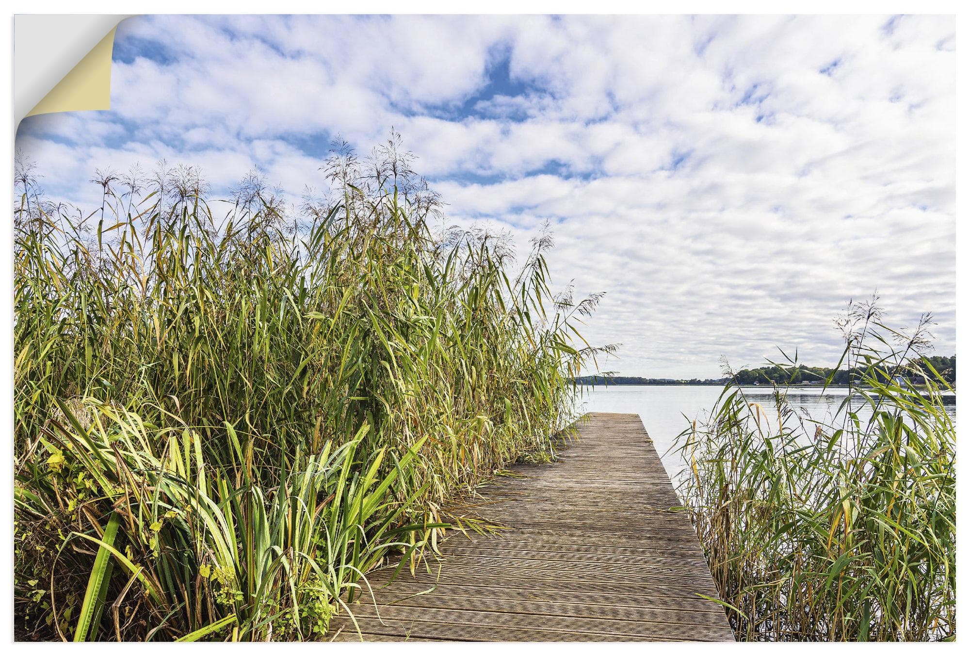 Wandbild Steg am Krakower See ARTland Grün