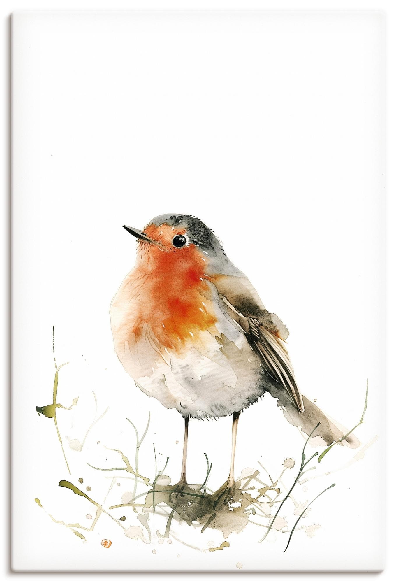 Artland Wandbild Aquarell Rotkehlchen Rot