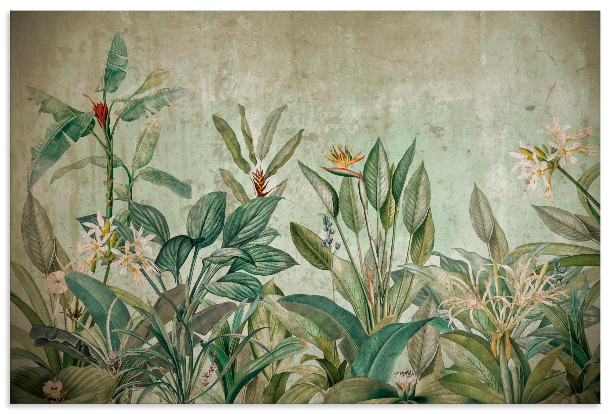 Wandbild ARTLAND Exotische Dschungel Landschaft Grün