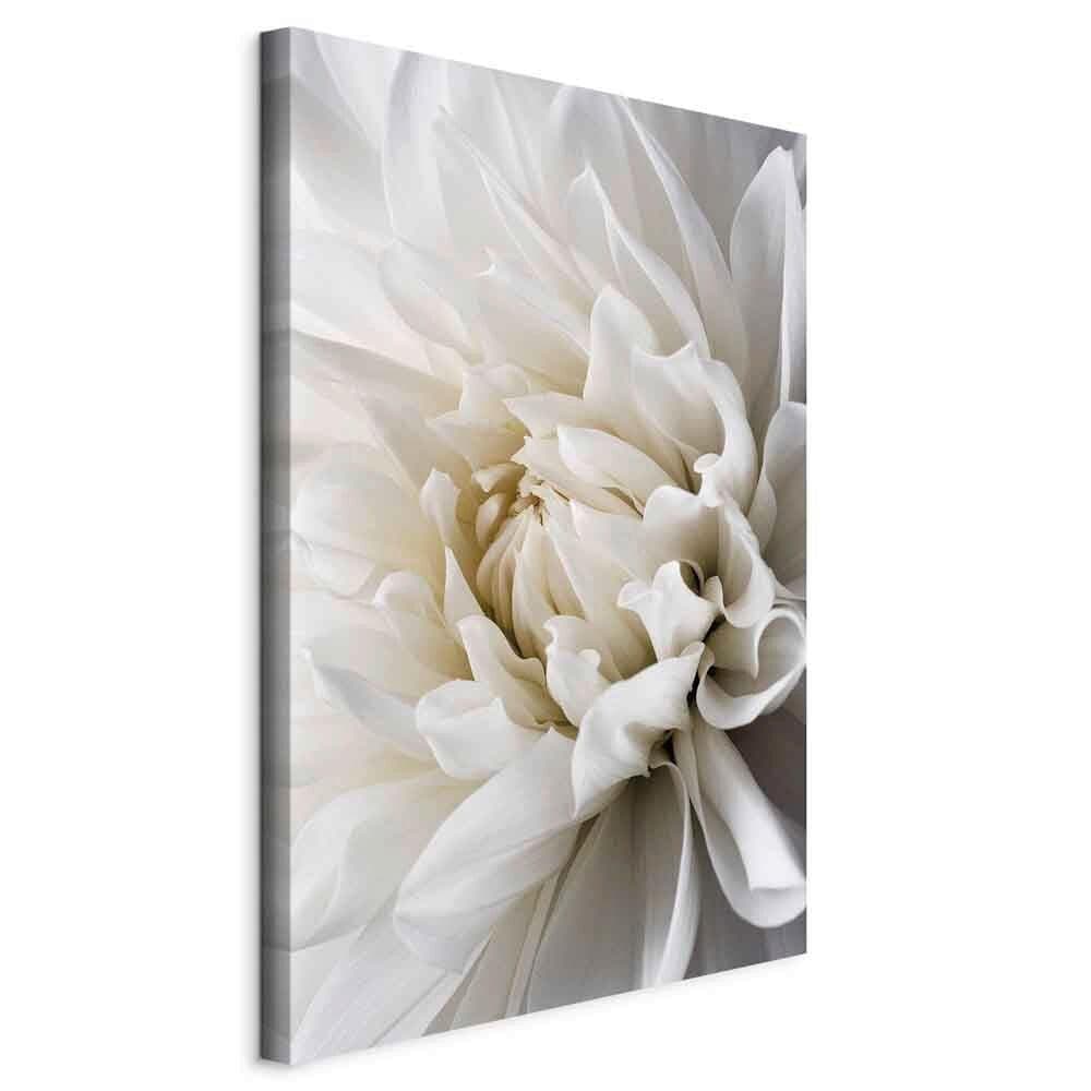 Artgeist Leinwandbild White Dahlia Weiß/Grau