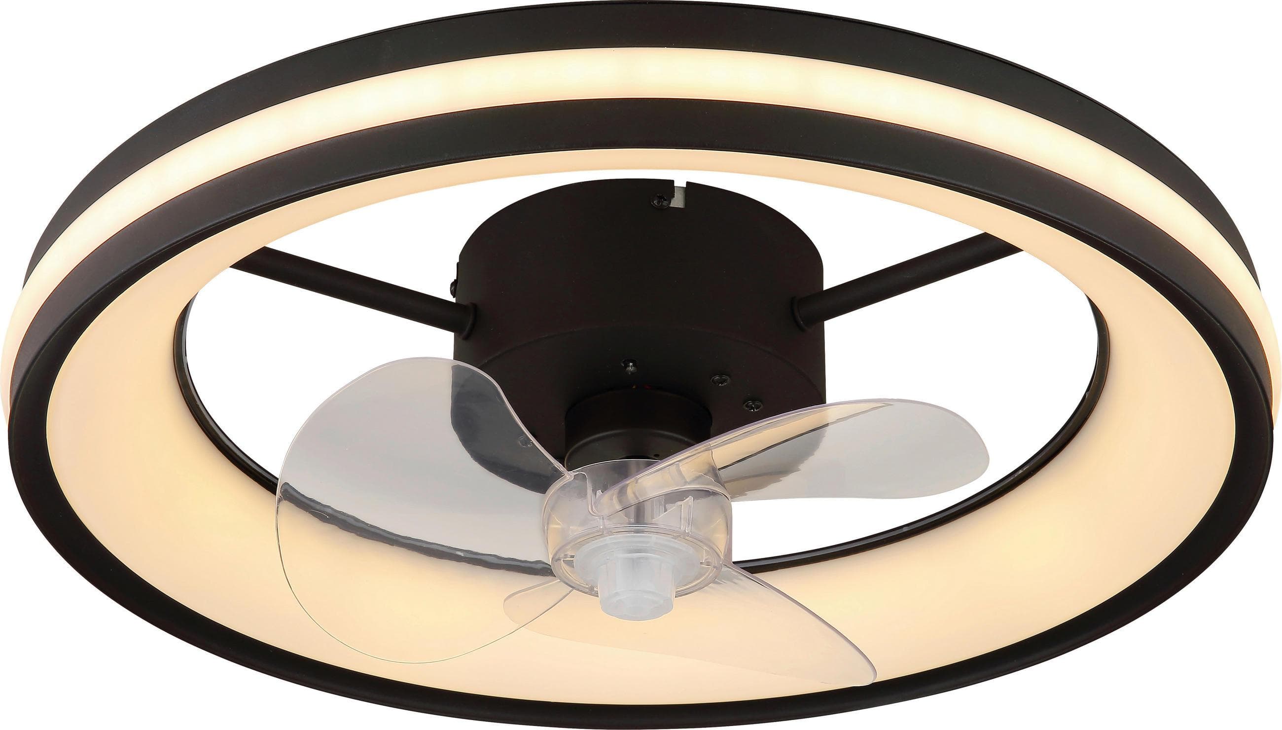 Deckenventilator Hayla Schwarz/Transparent