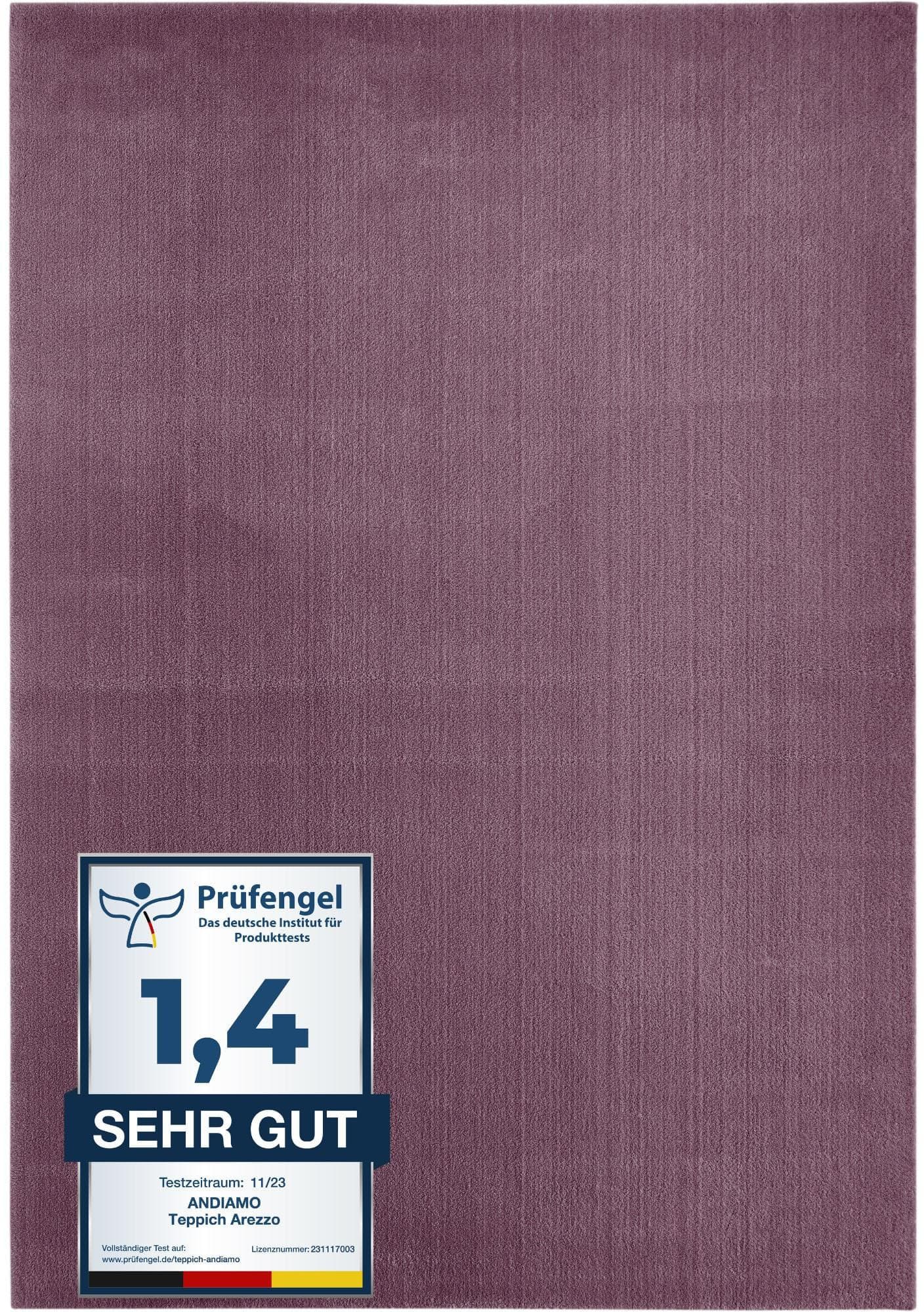 Andiamo Teppich Arezzo: Weicher Uni-Flor, Waschbar, Ideal für Wohn- & Schlafzimmer