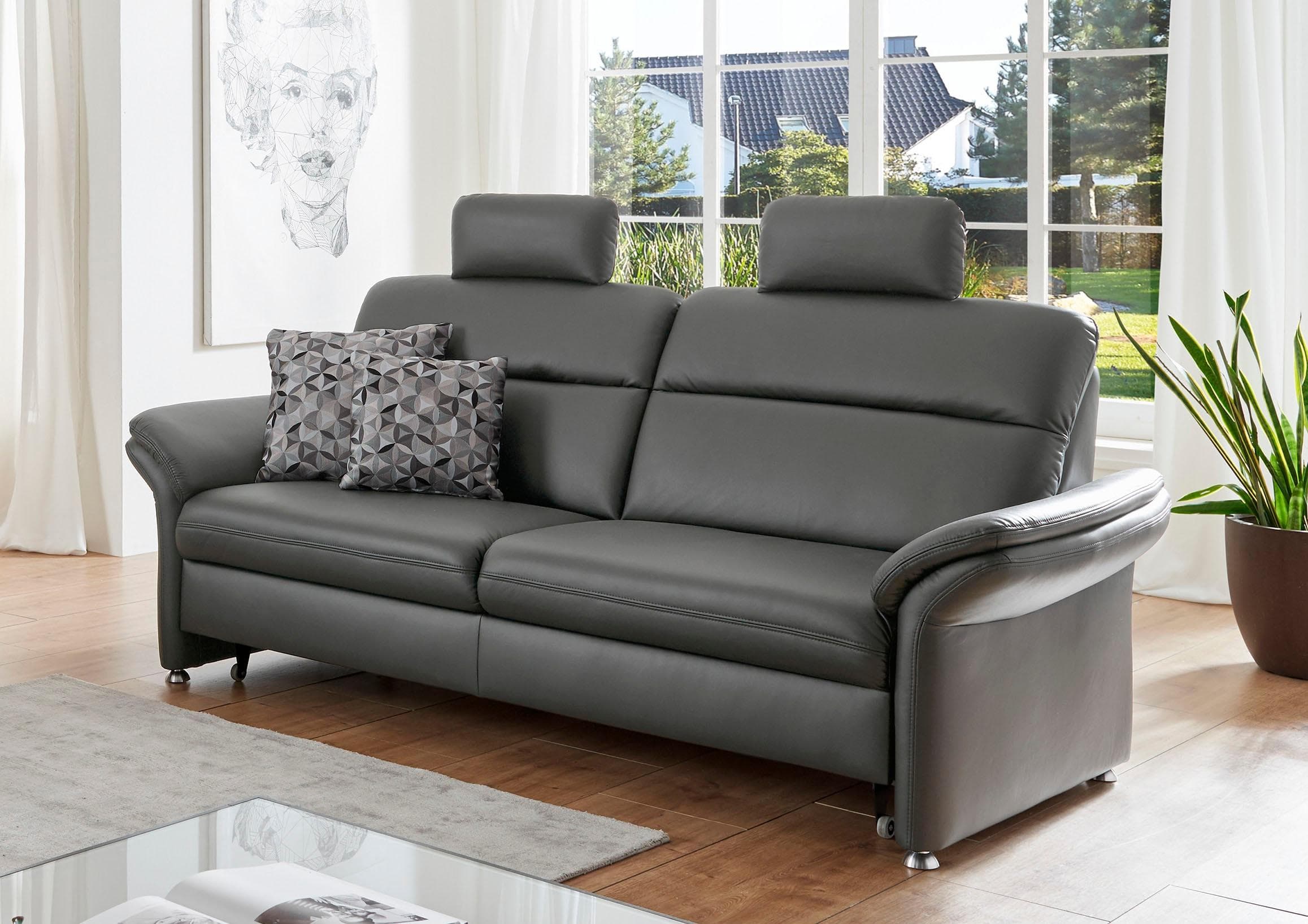 3-Sitzer Sofa DIE PLANBAR Grau Glattleder mit Kopfstützen